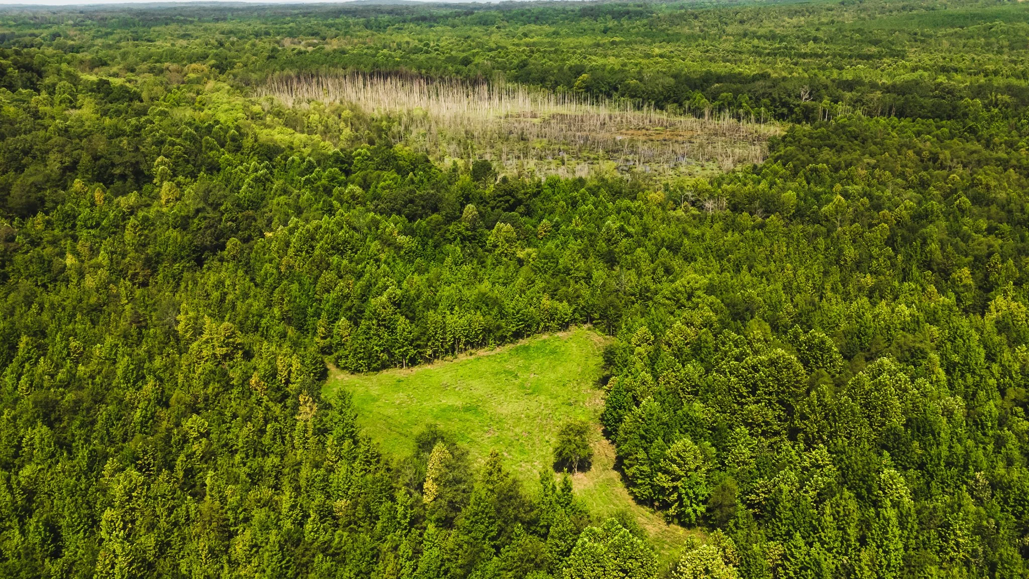 DJI_20250814101741_0006_D.jpg