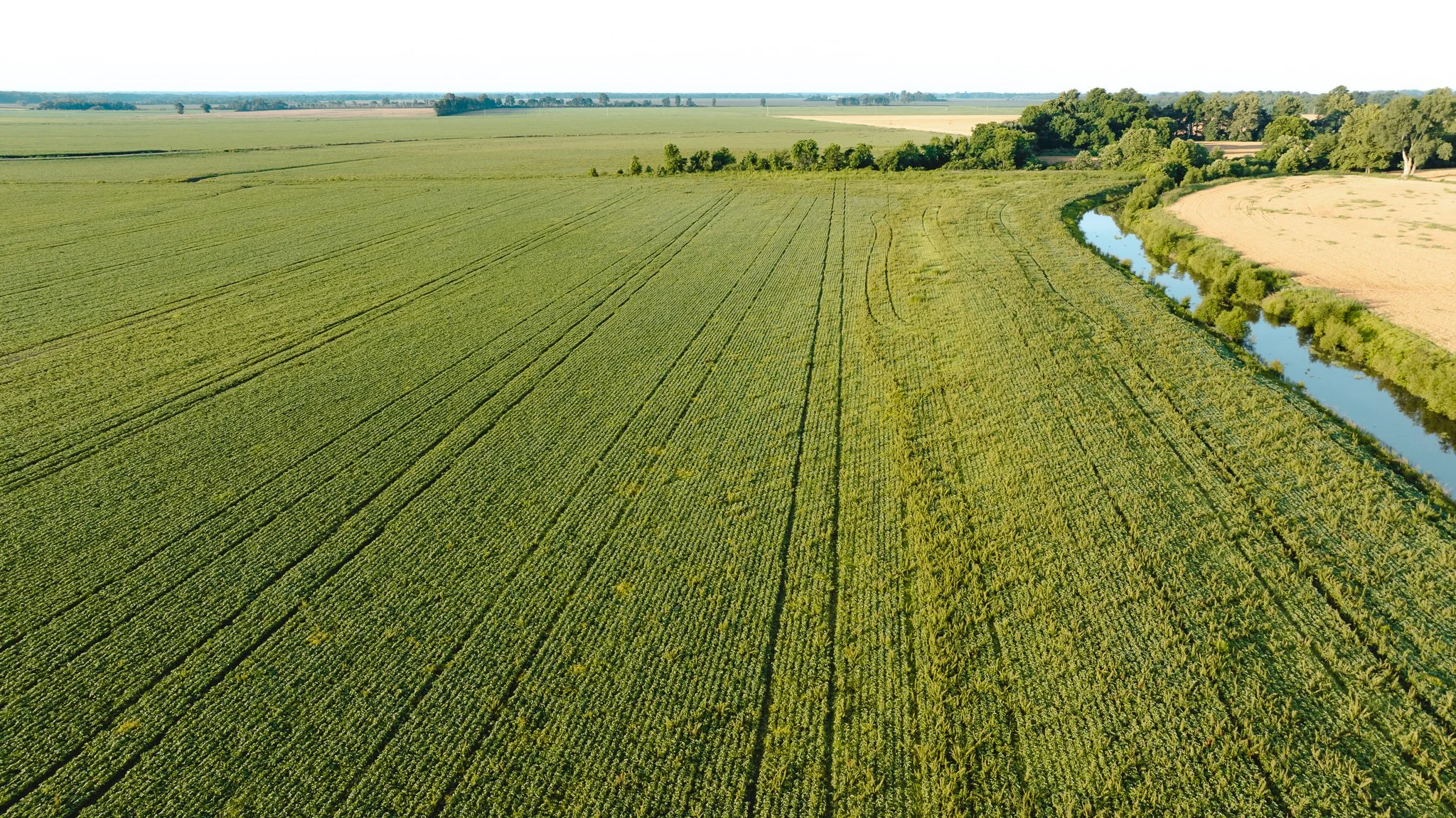 DJI_20260602135417_0025_D.jpg