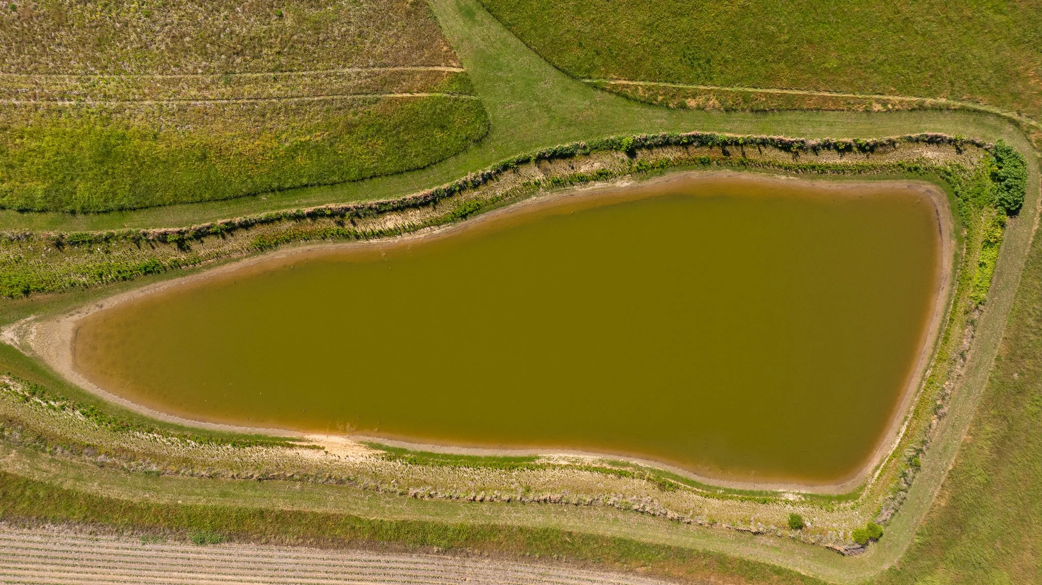 DJI_20260510170220_0011_D.jpg