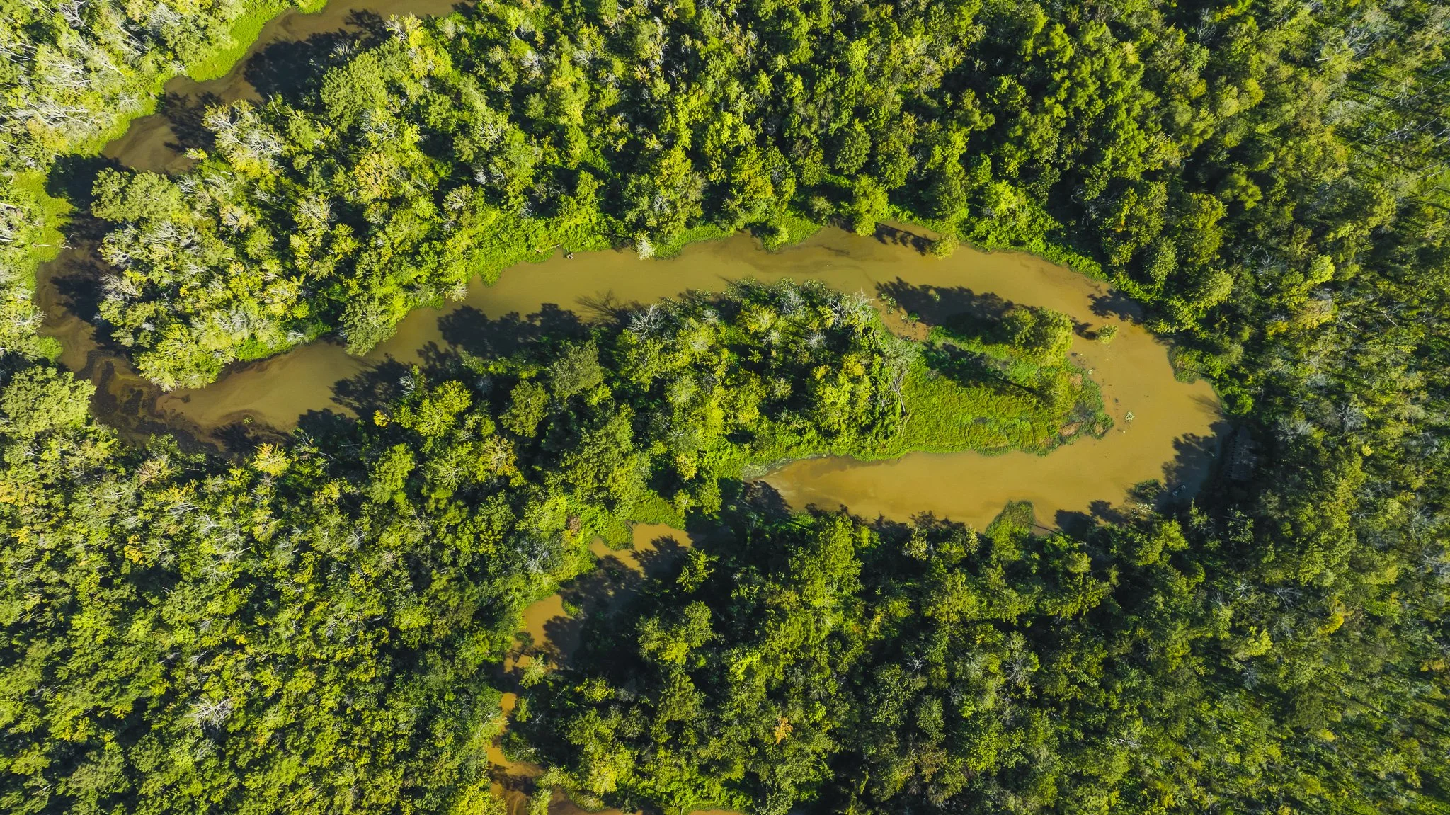 DJI_20250821091010_0078_D.jpg