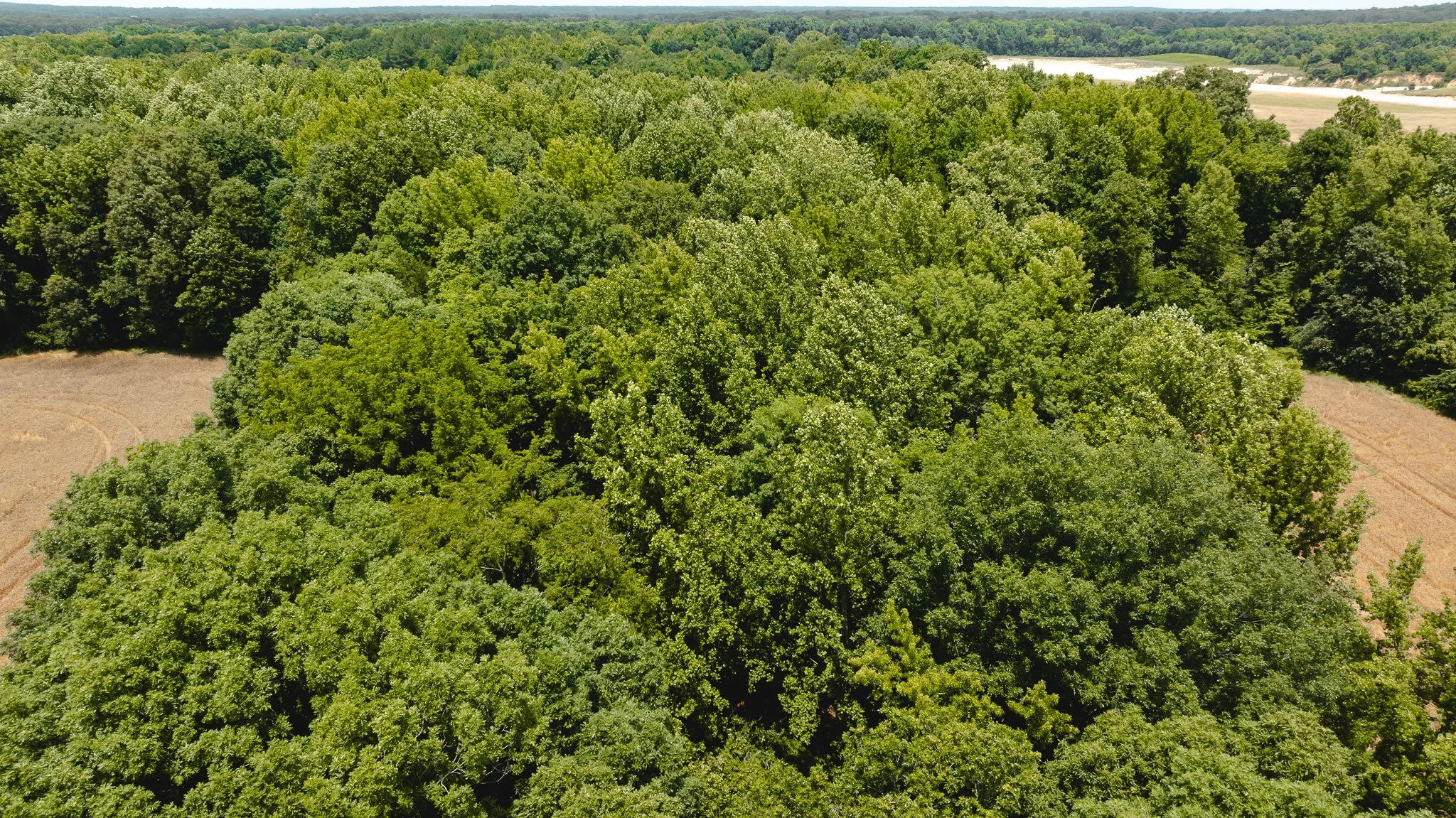 DJI_20260602203952_0009_D.jpg