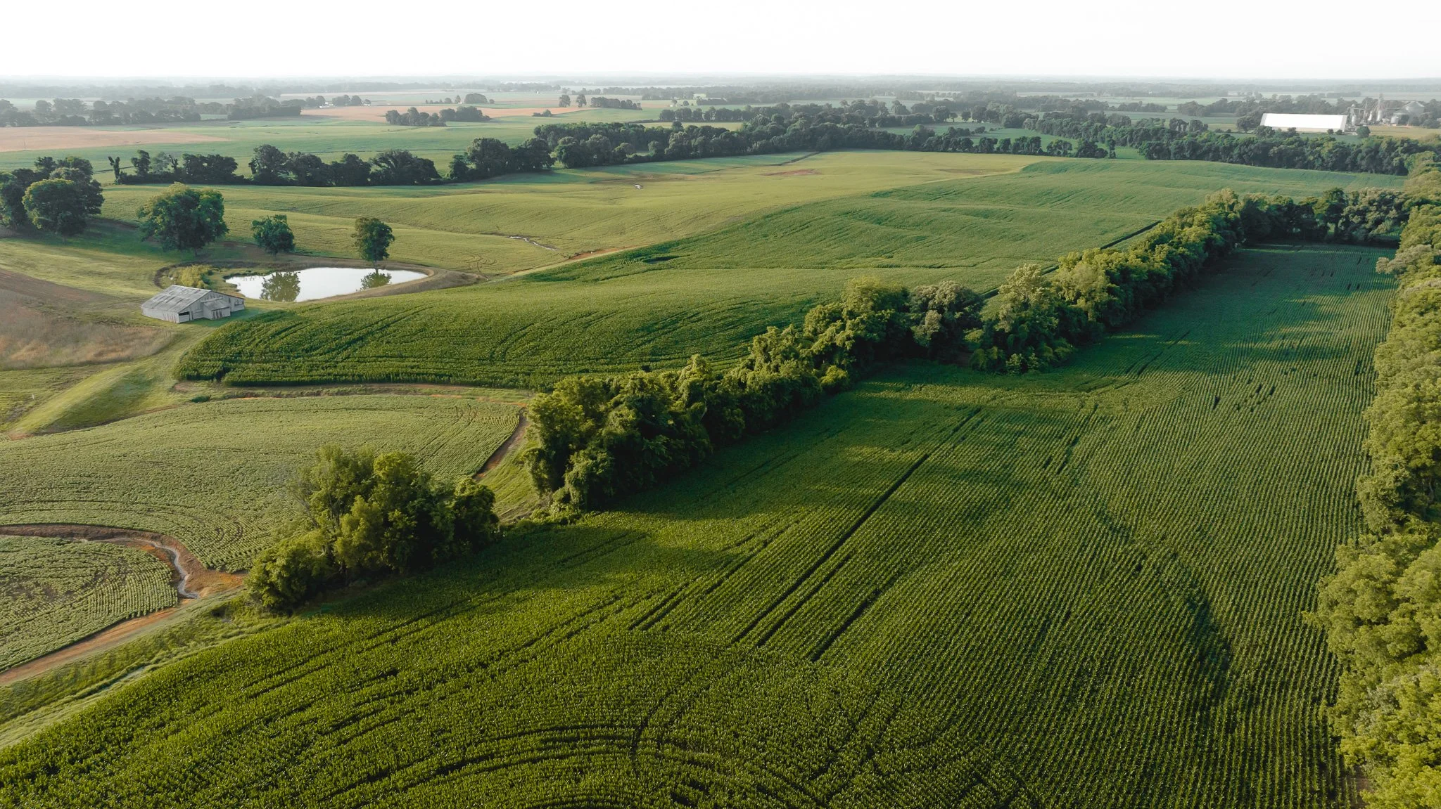 DJI_20260531141143_0091_D.jpg