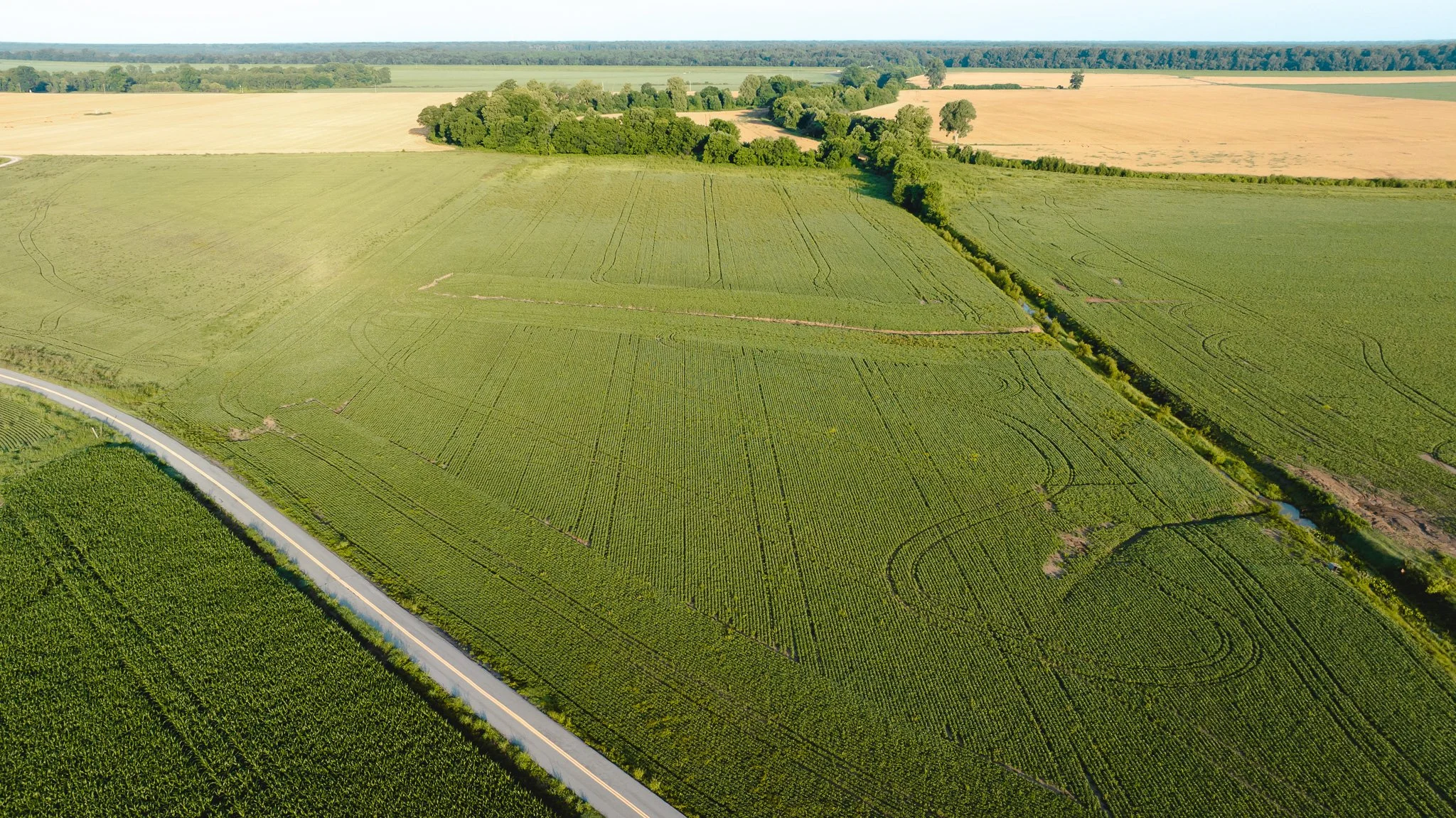 DJI_20260602135750_0032_D.jpg