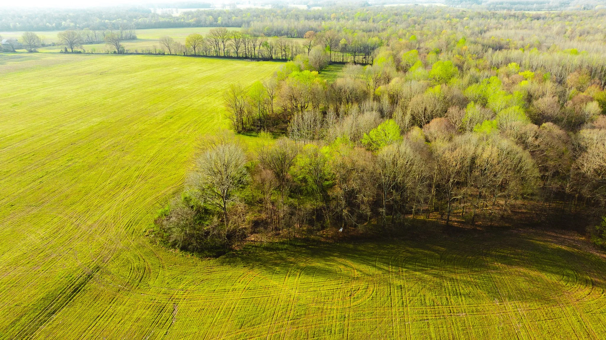 DJI_20260326084208_0015_D.jpg