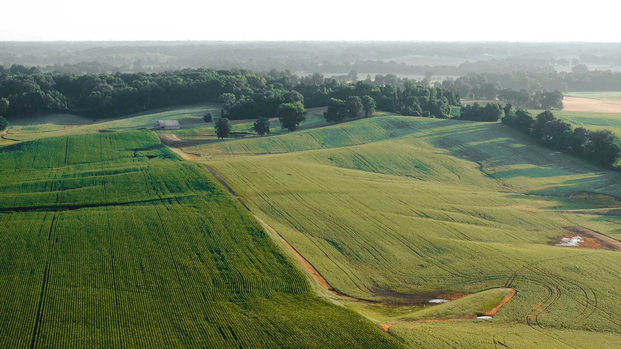 DJI_20260531140421_0079_D.jpg