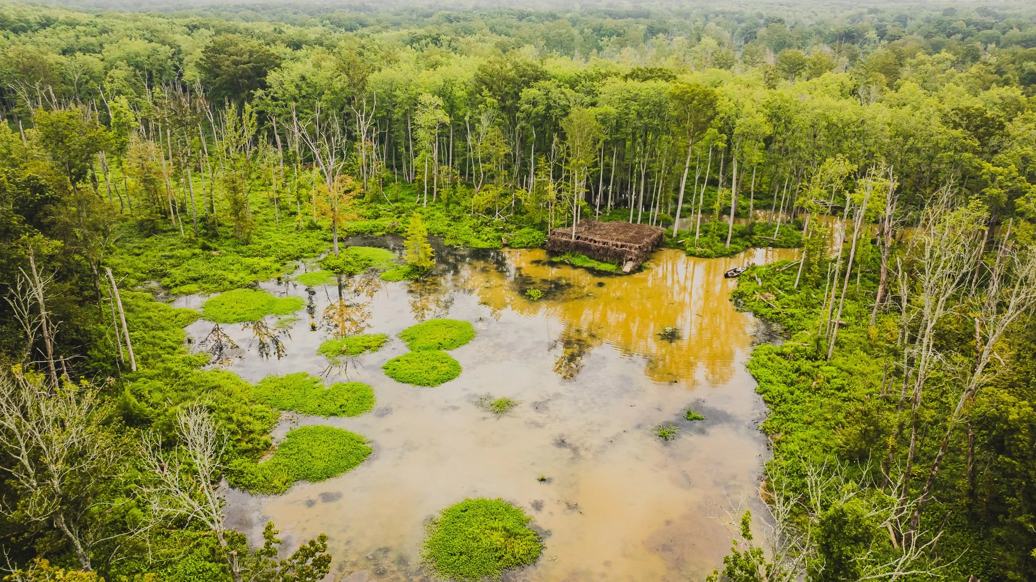 DJI_20250805080425_0036_D.jpg