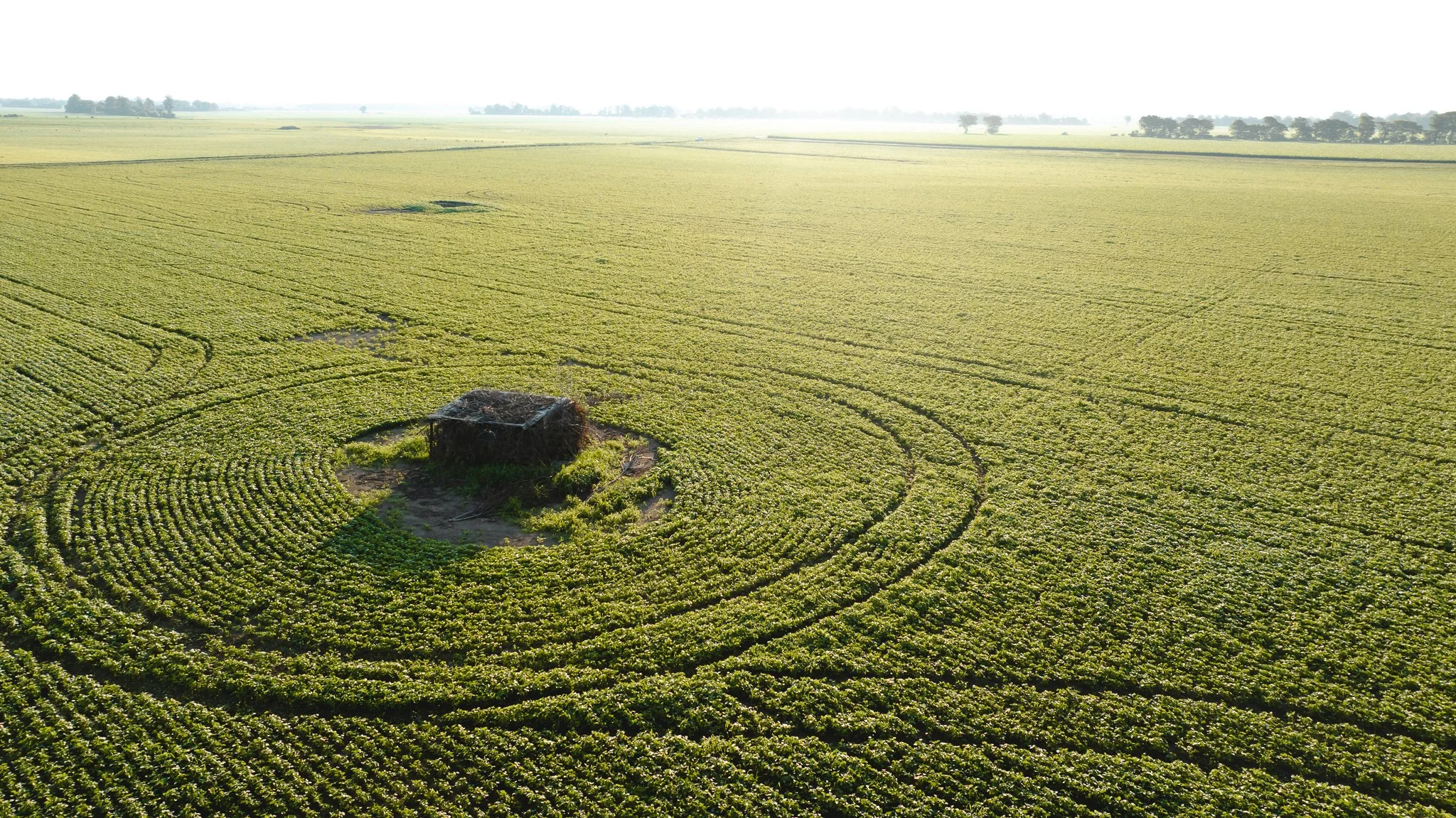 DJI_20260602135241_0020_D.jpg