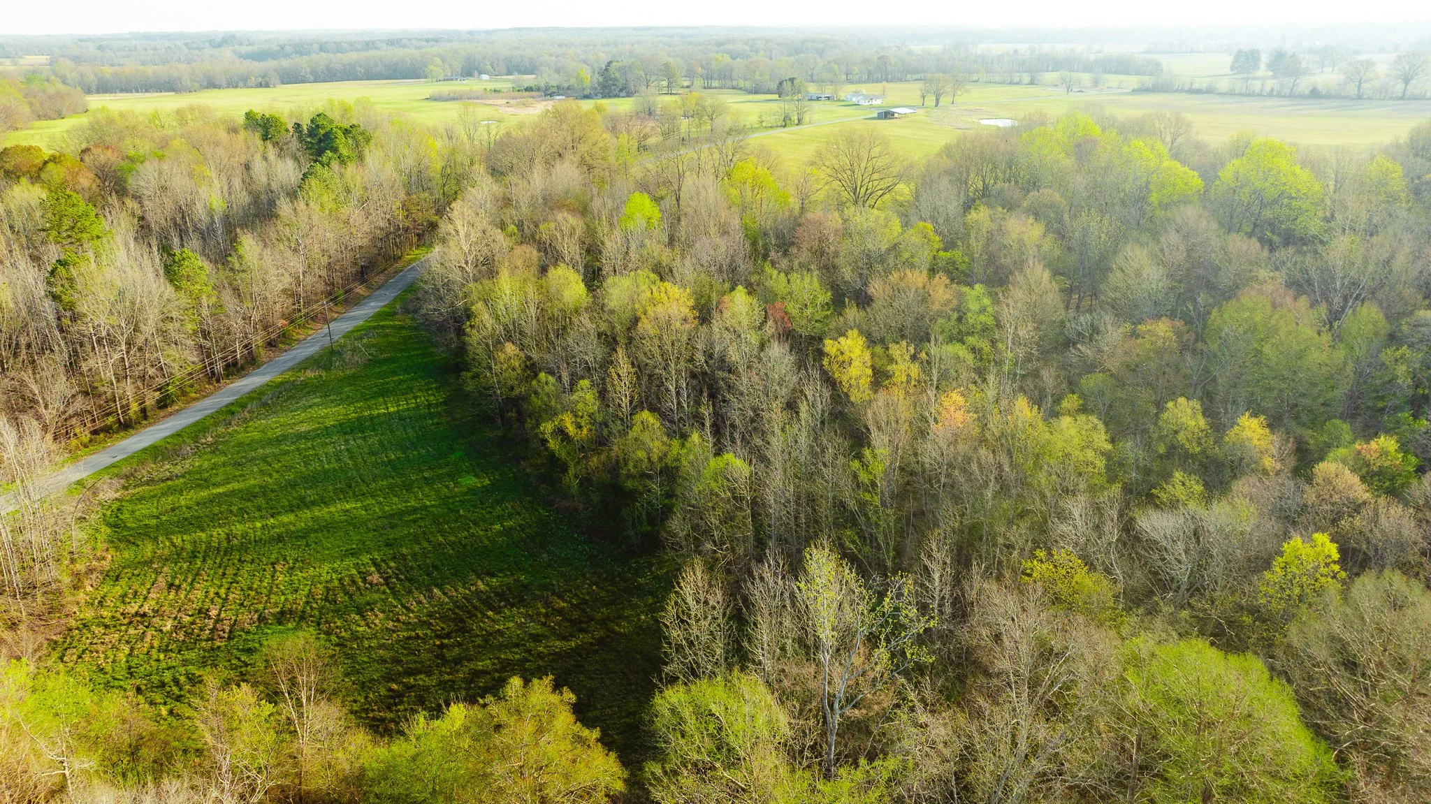 DJI_20260326084051_0011_D.jpg