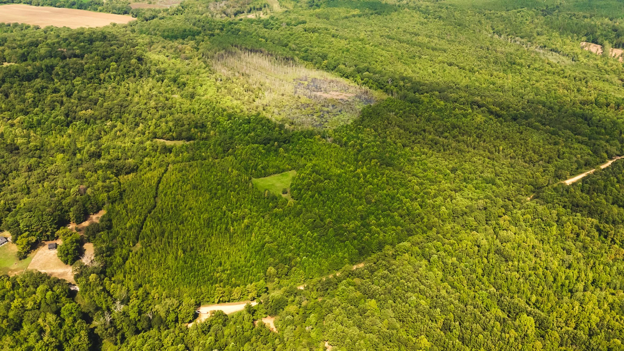 DJI_20250814101627_0004_D.jpg