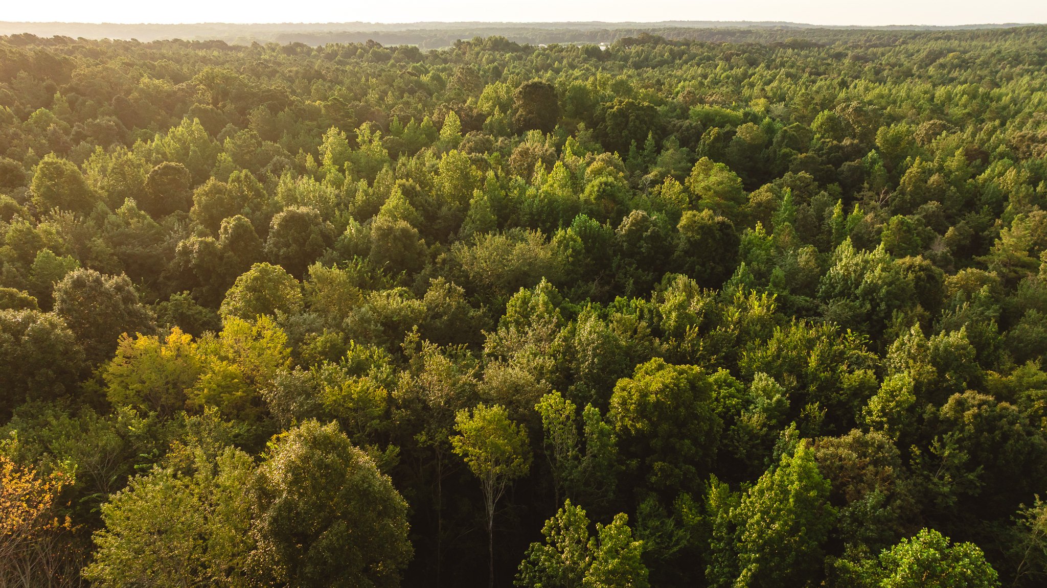 DJI_20260812143259_0141_D.jpg