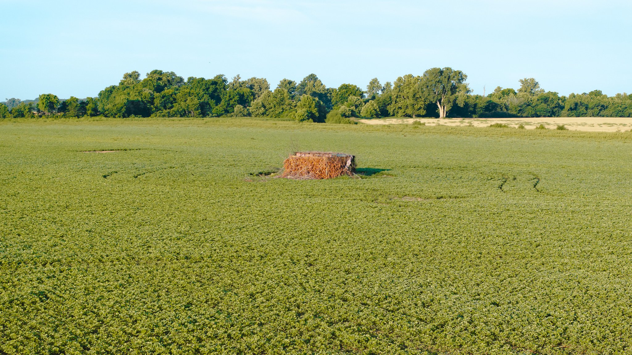 DJI_20260602135136_0016_D.jpg