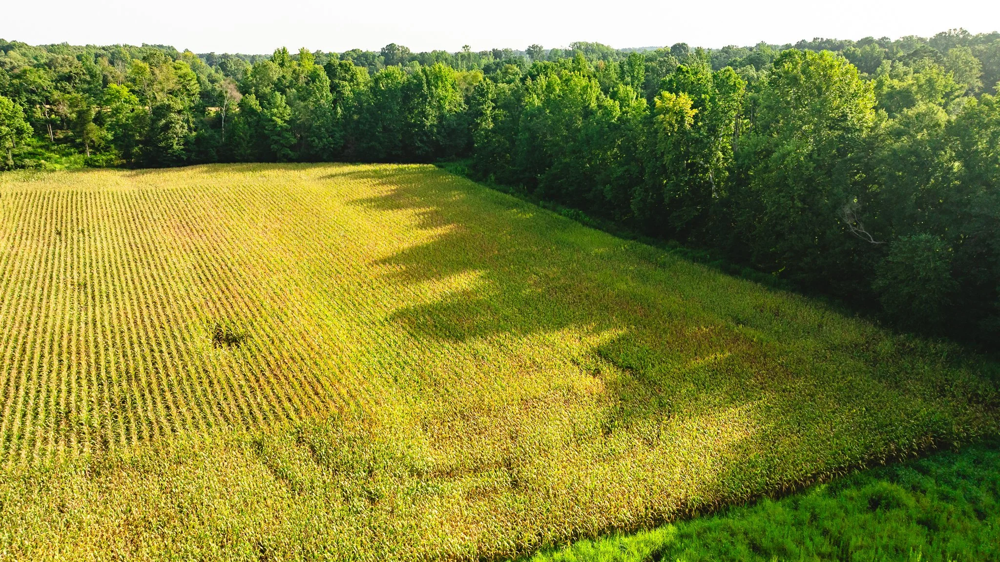 DJI_20260815154920_0045_D.jpg