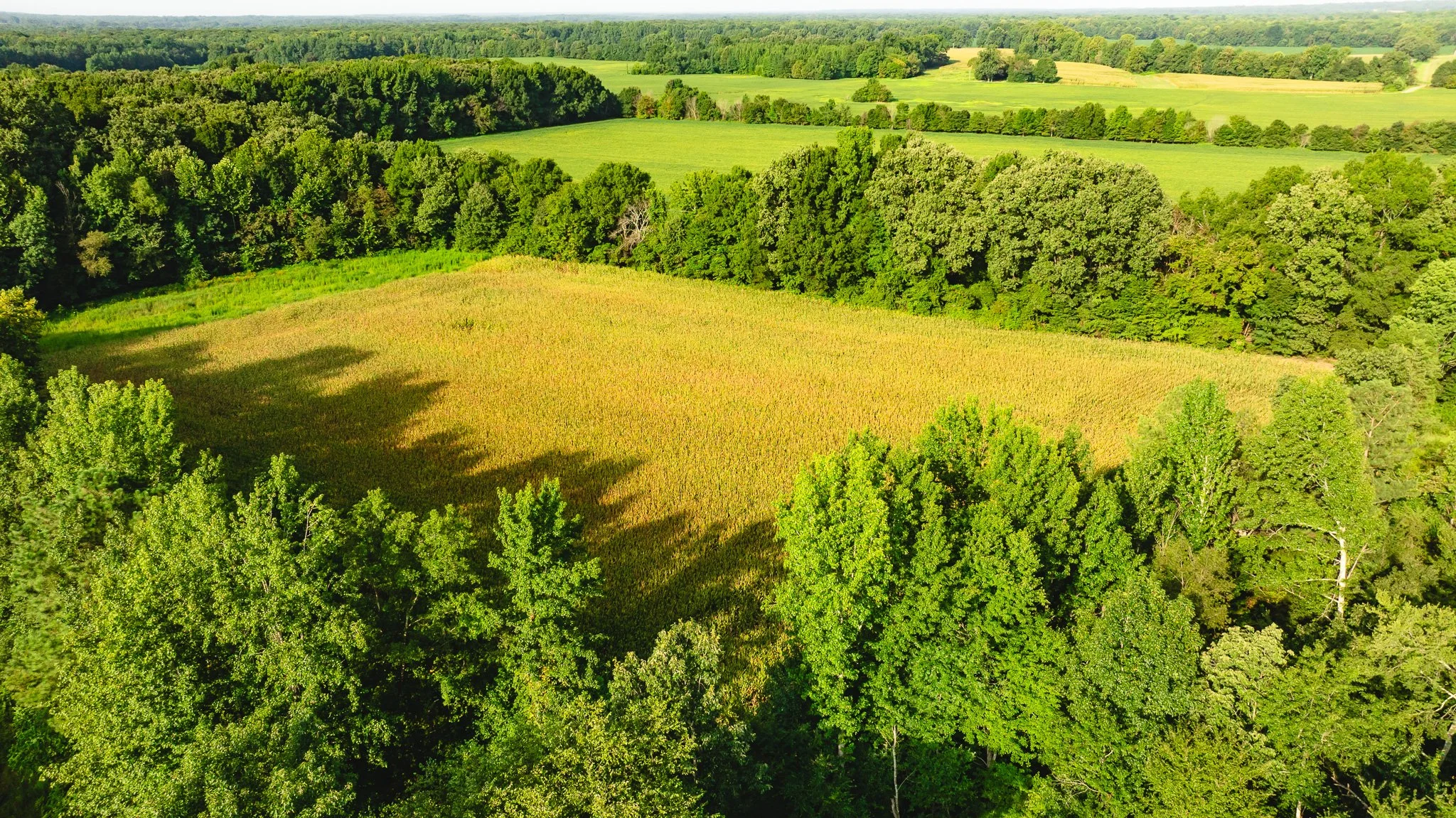 DJI_20260815154831_0042_D.jpg