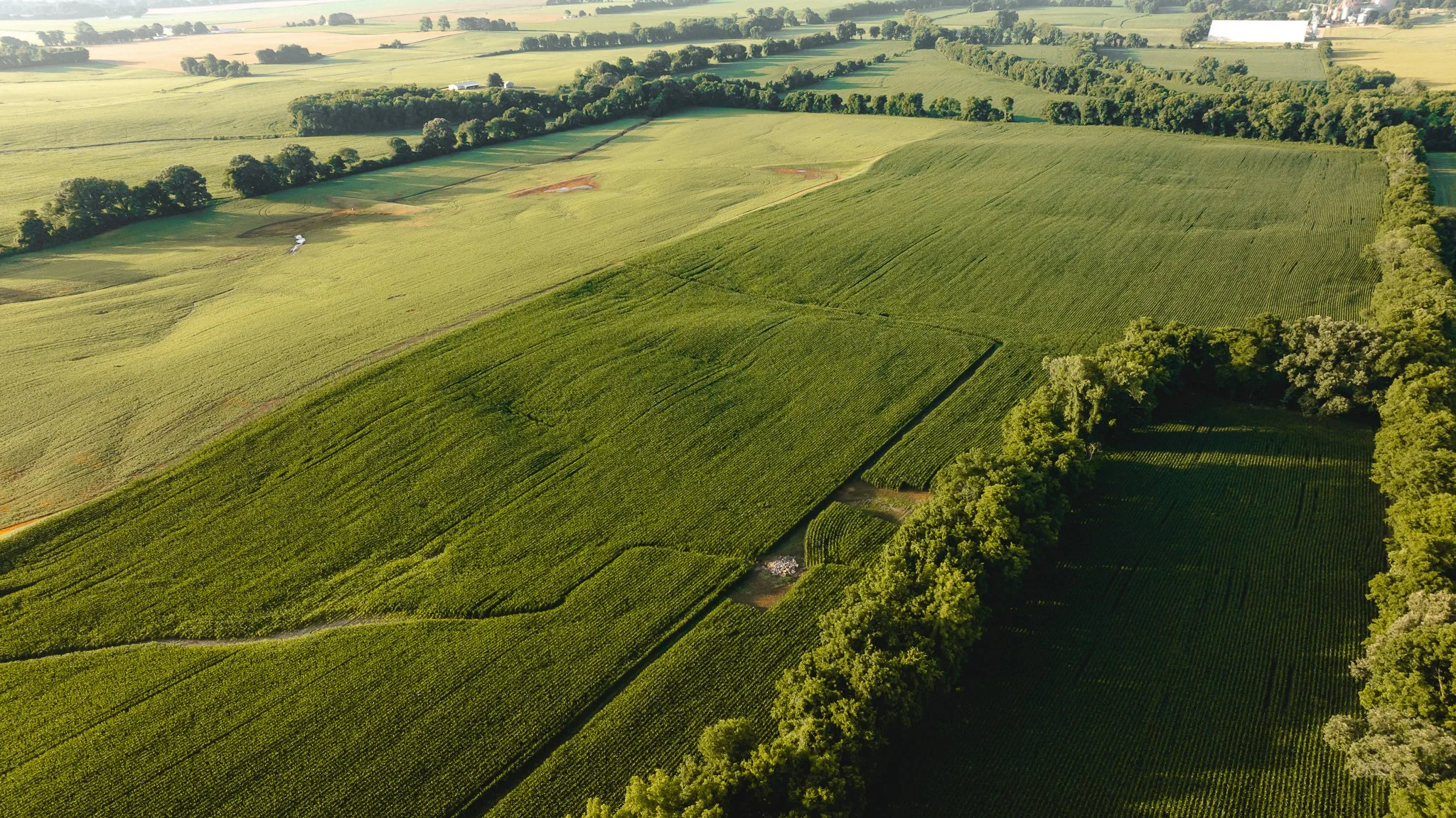 DJI_20260531140733_0087_D.jpg