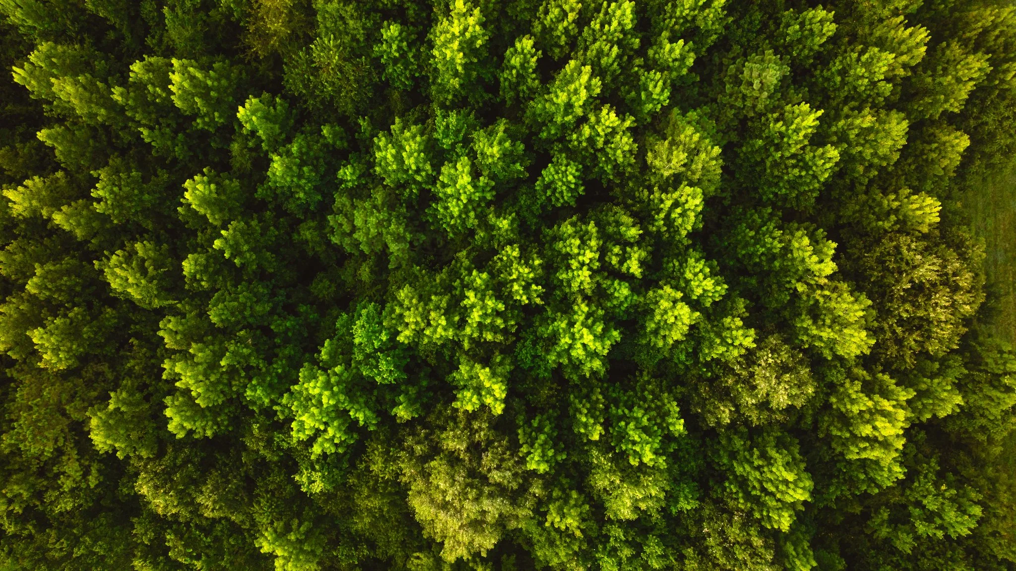 DJI_20260803141925_0047_D.jpg