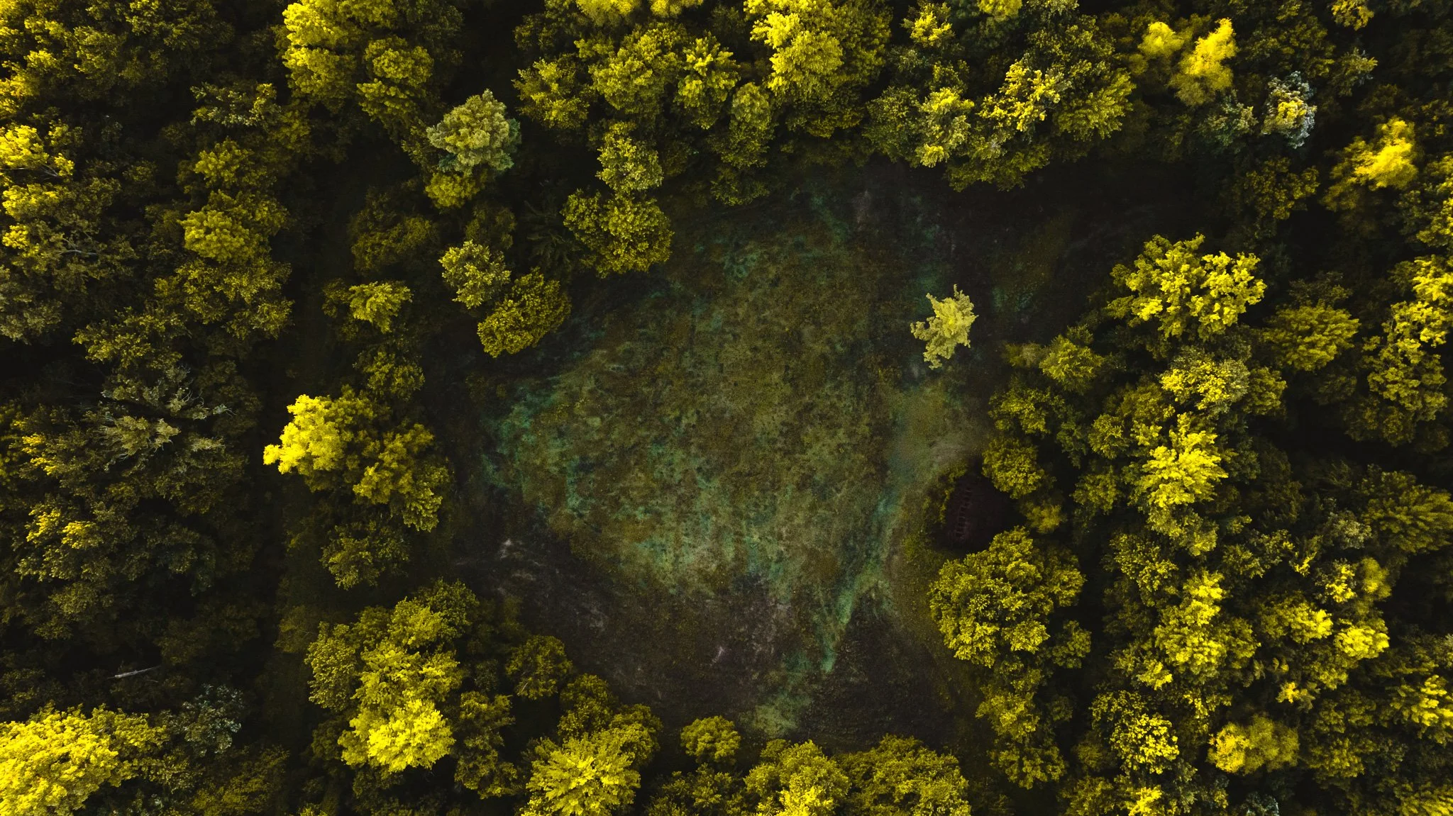 DJI_20260505132512_0004_D.jpg