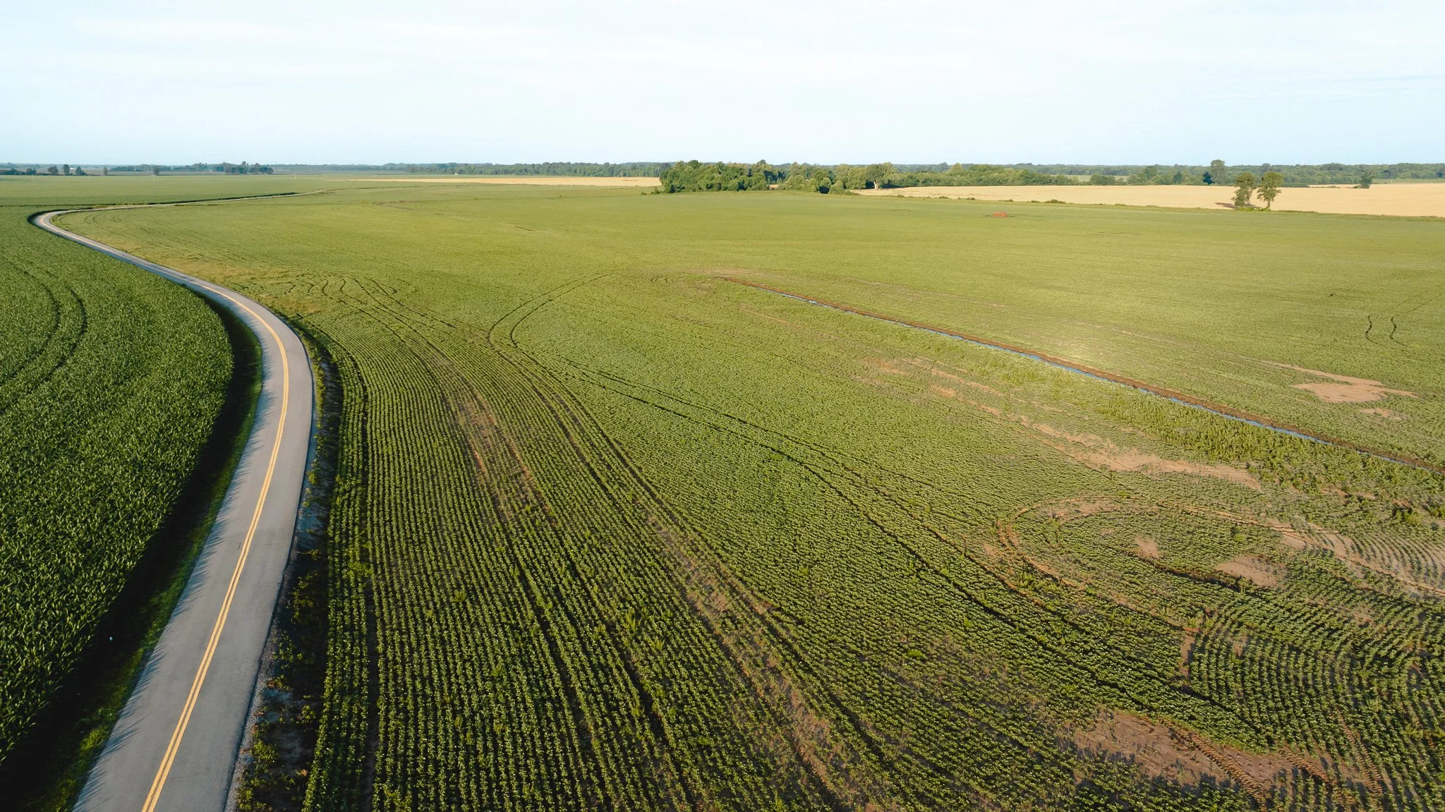 DJI_20260602135028_0012_D.jpg