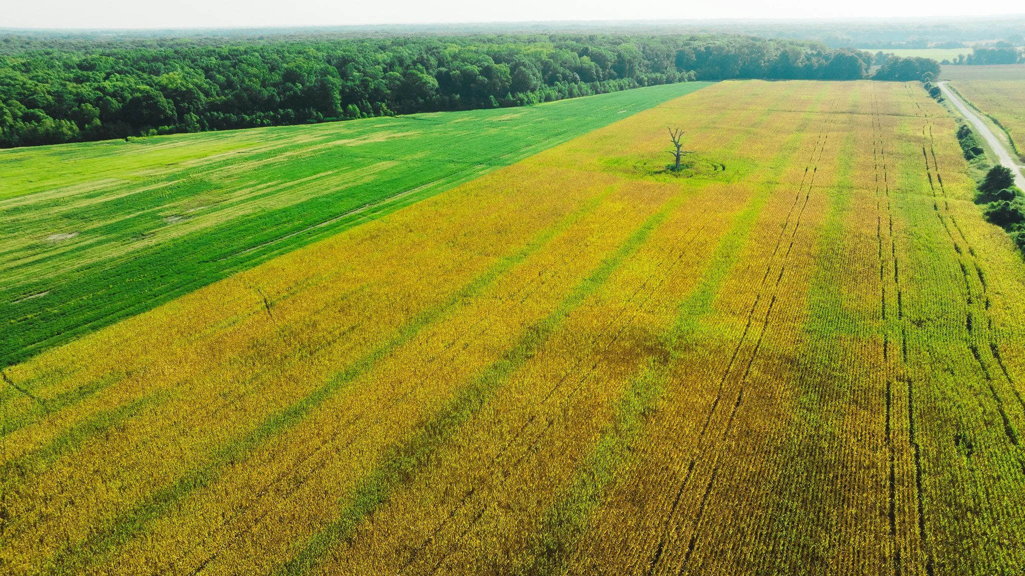 DJI_20250915092846_0031_D.jpg