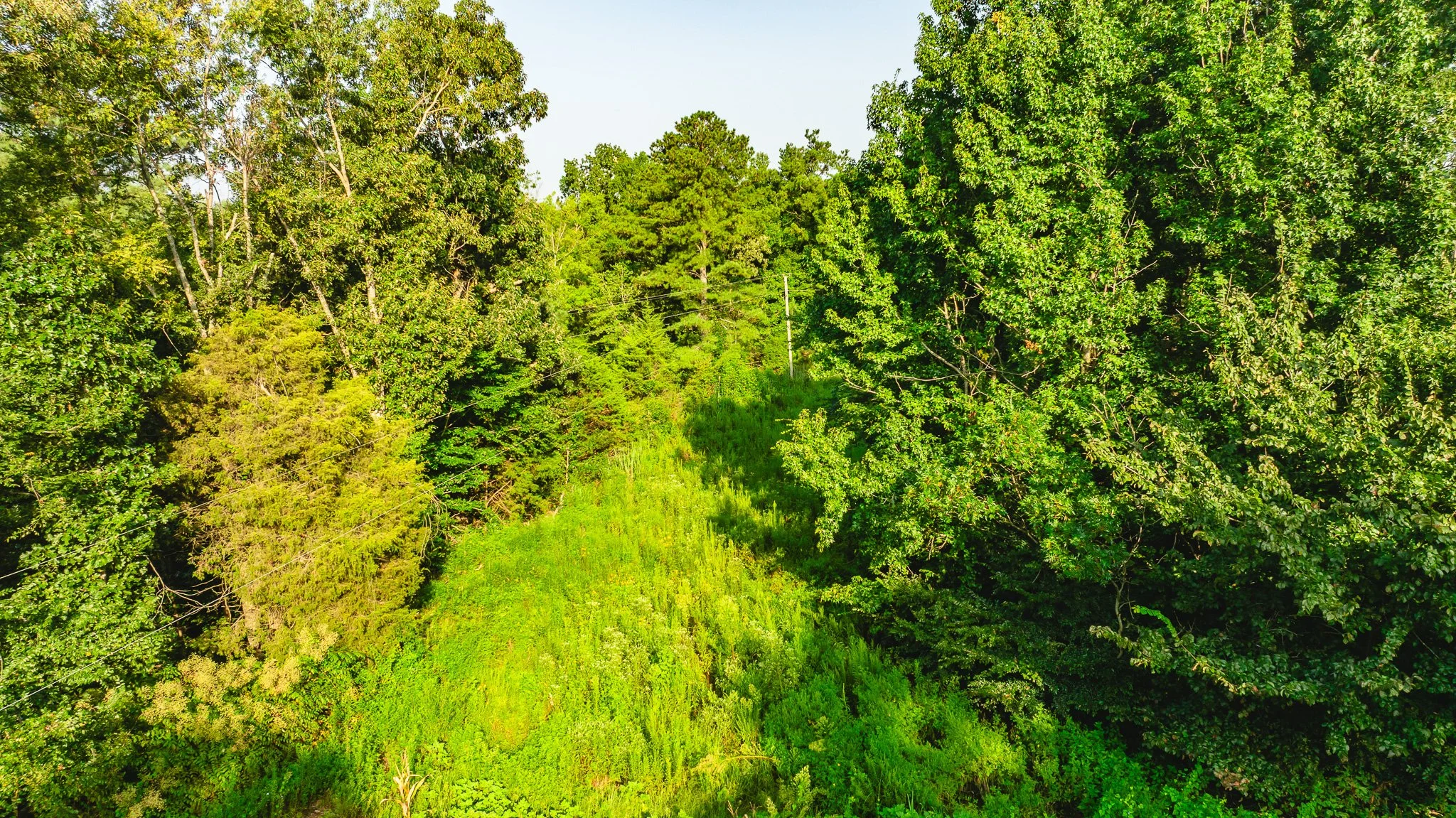DJI_20260815155355_0054_D.jpg