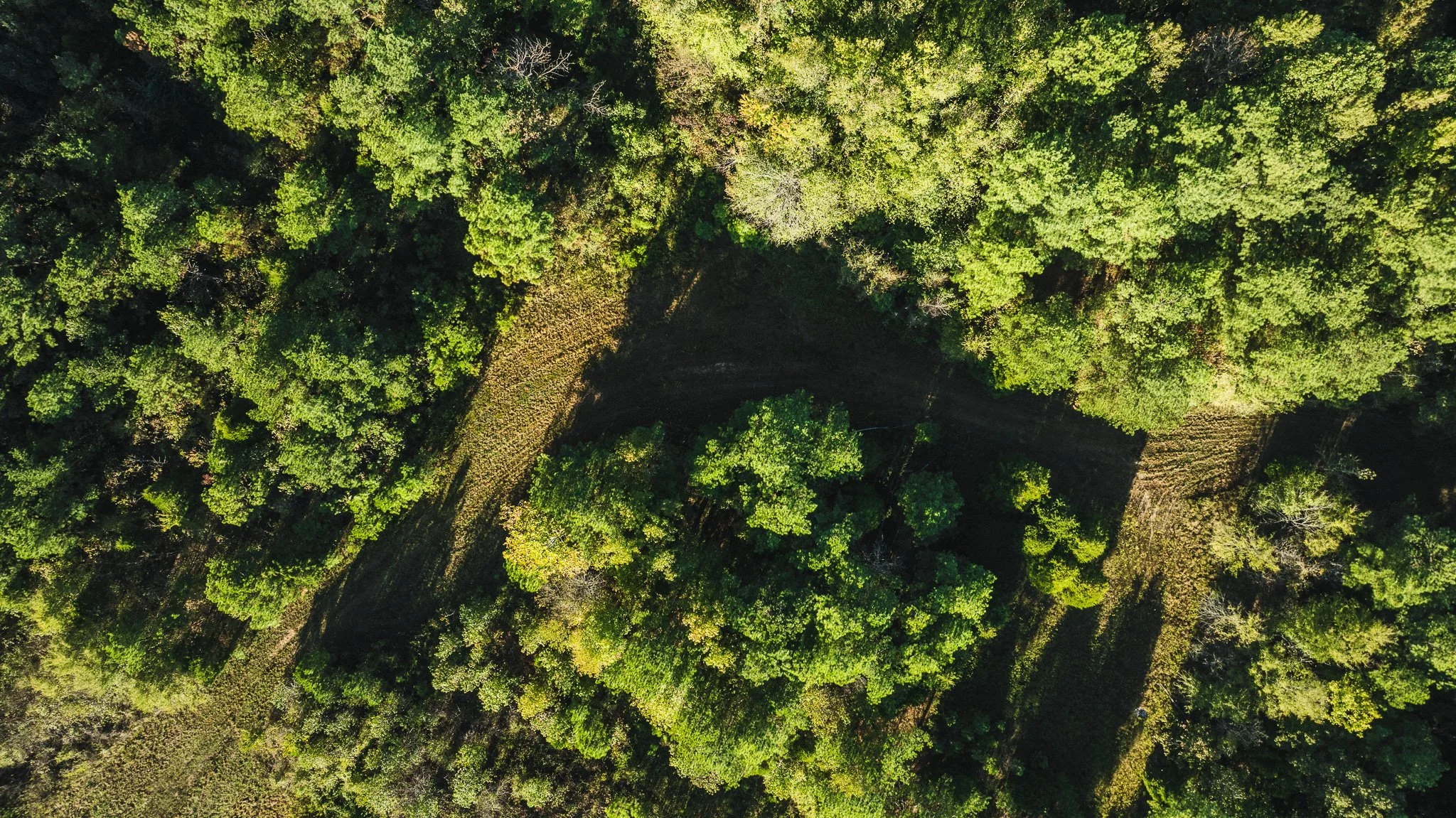 DJI_20251014085347_0023_D.jpg