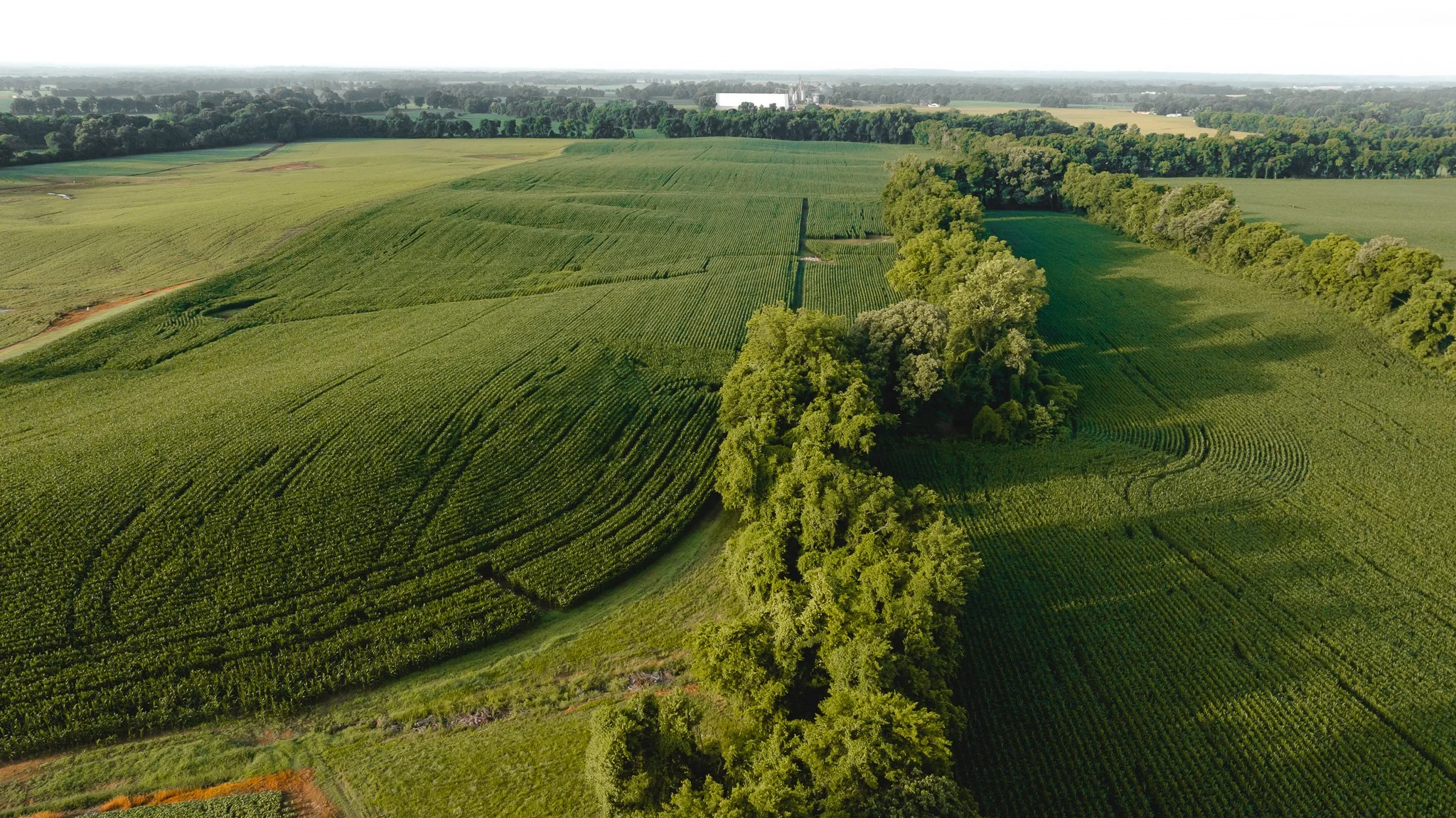 DJI_20260531141158_0092_D.jpg