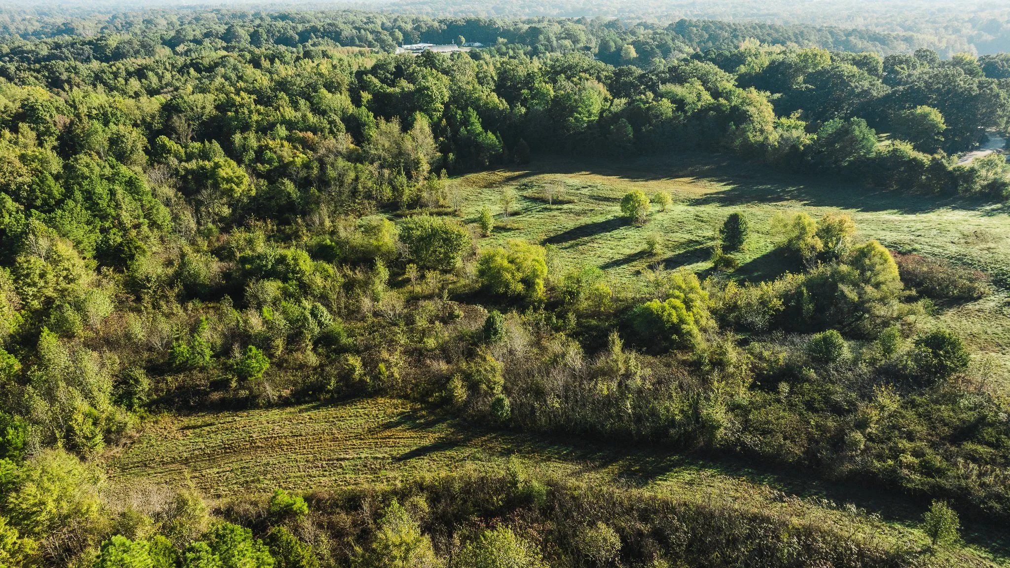 DJI_20251014085028_0014_D.jpg