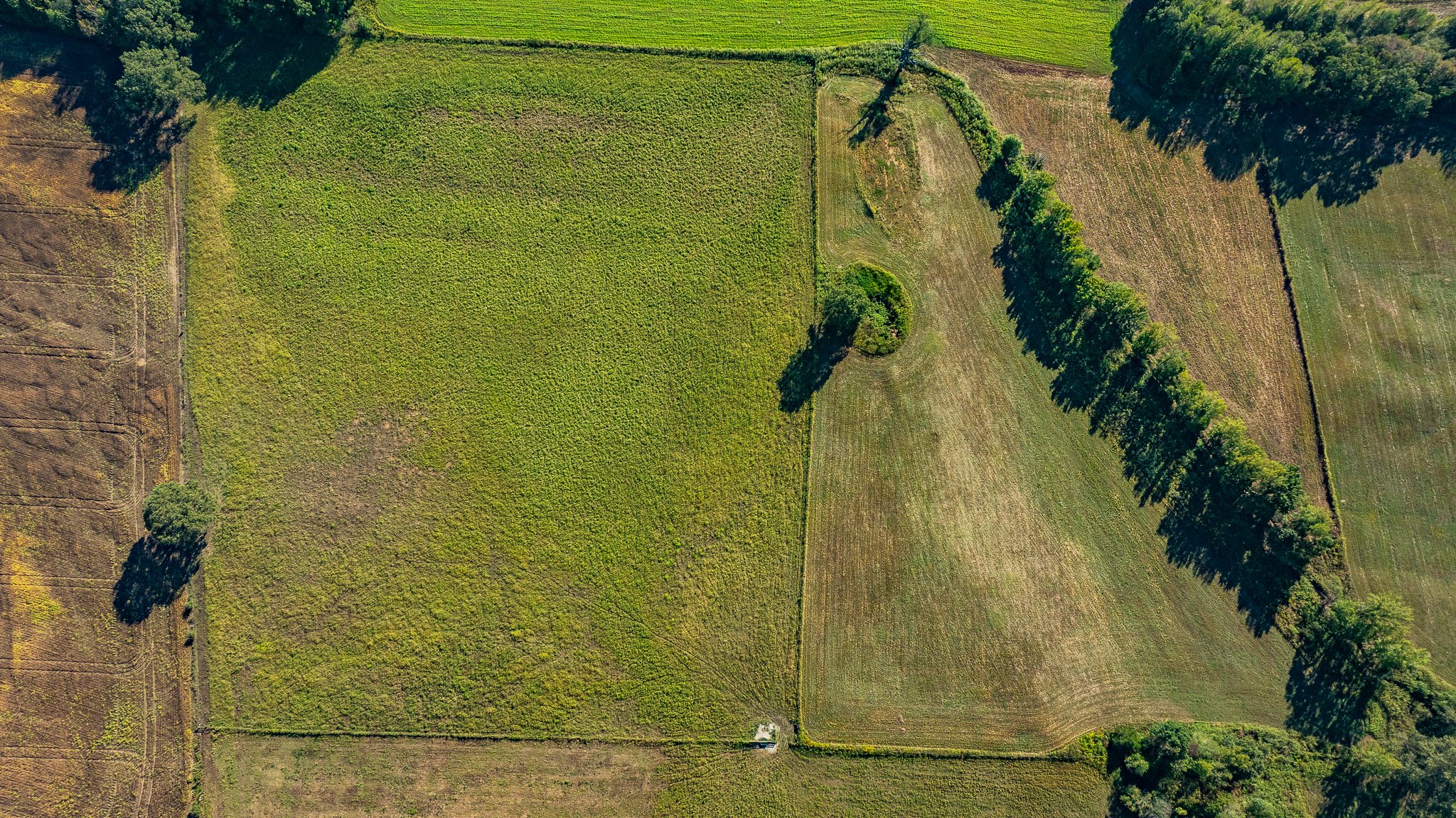 DJI_20250926092558_0171_D.jpg