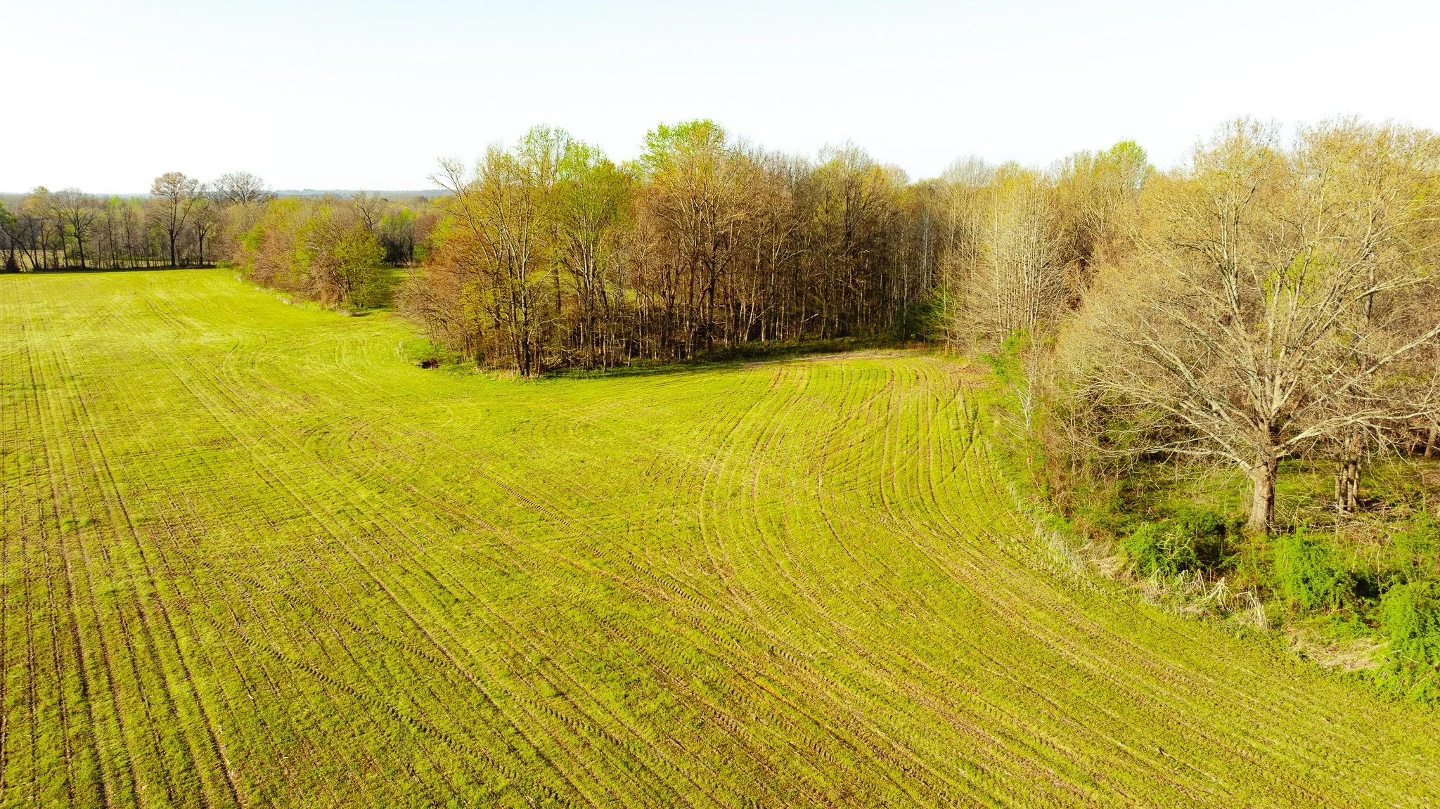 DJI_20260326085030_0028_D.jpg