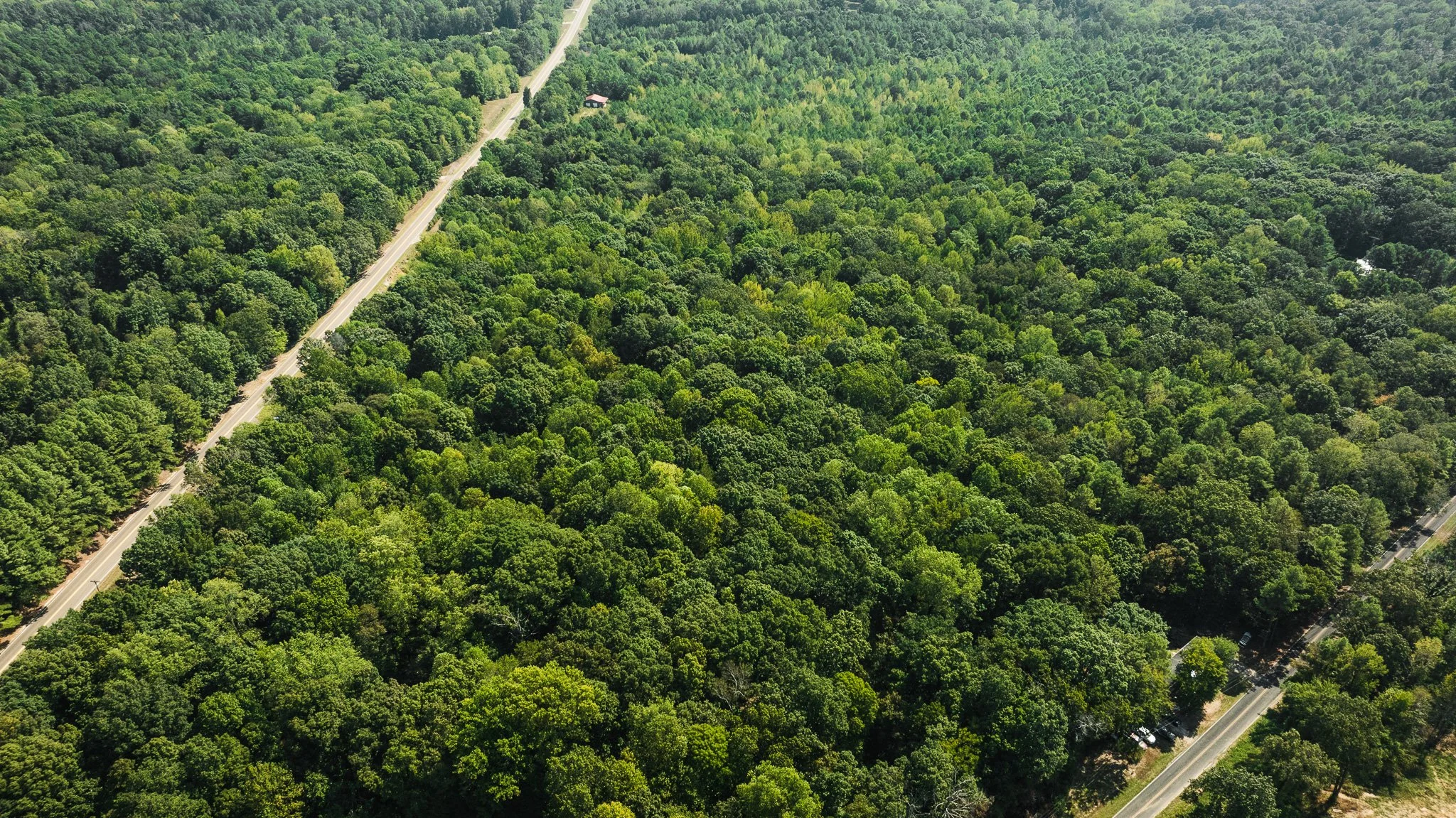 DJI_20250911111551_0033_D.jpg