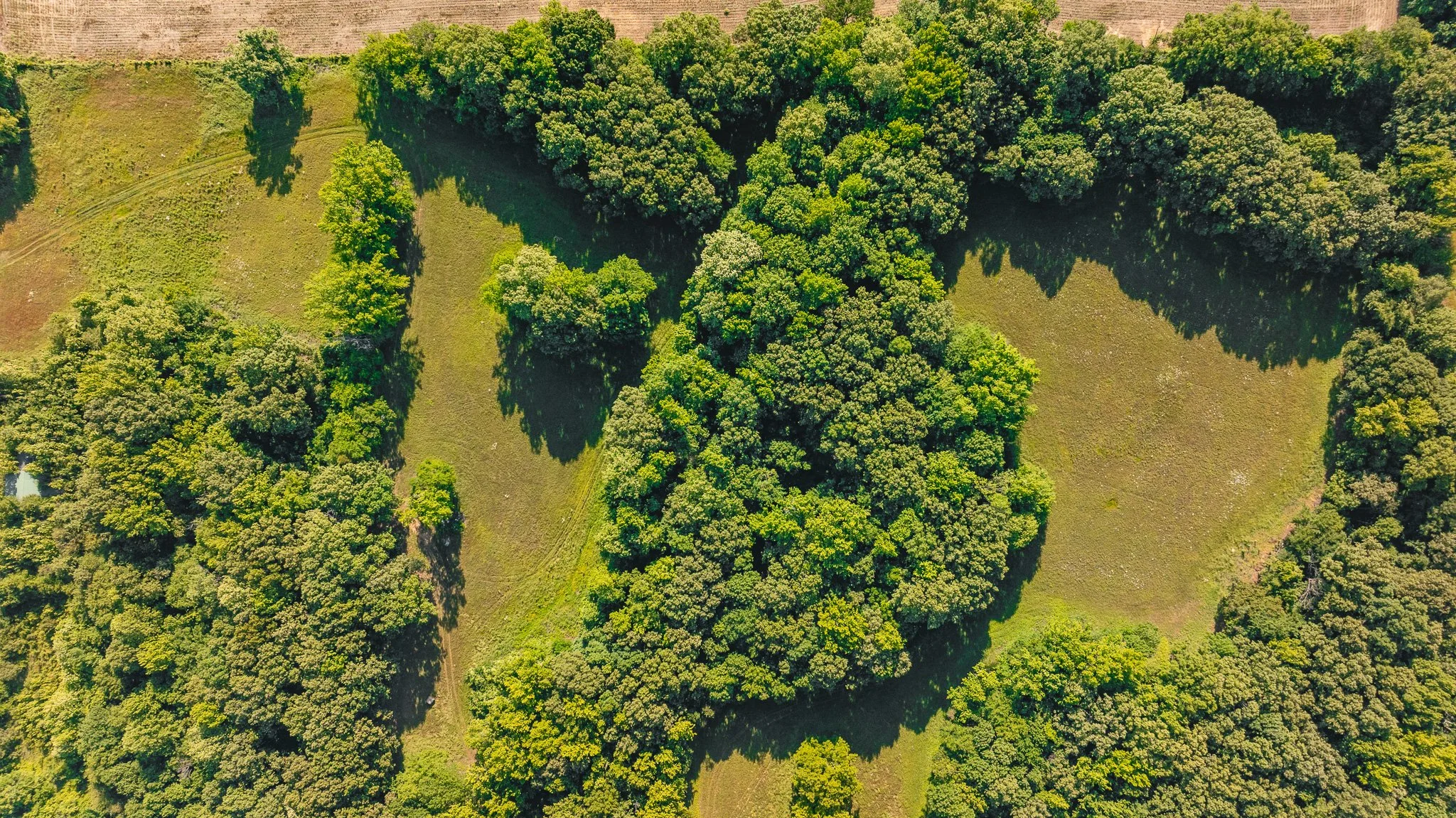 DJI_20260511155856_0011_D.jpg