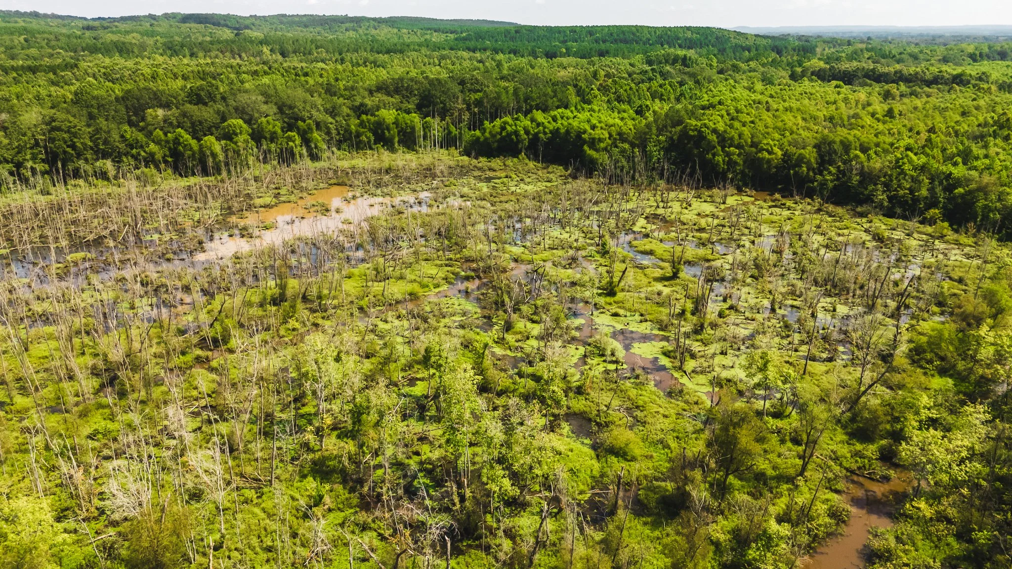 DJI_20250814102147_0016_D.jpg