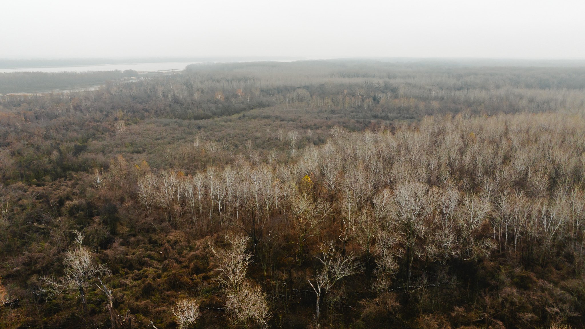 DJI_20251204095441_0029_D.jpg