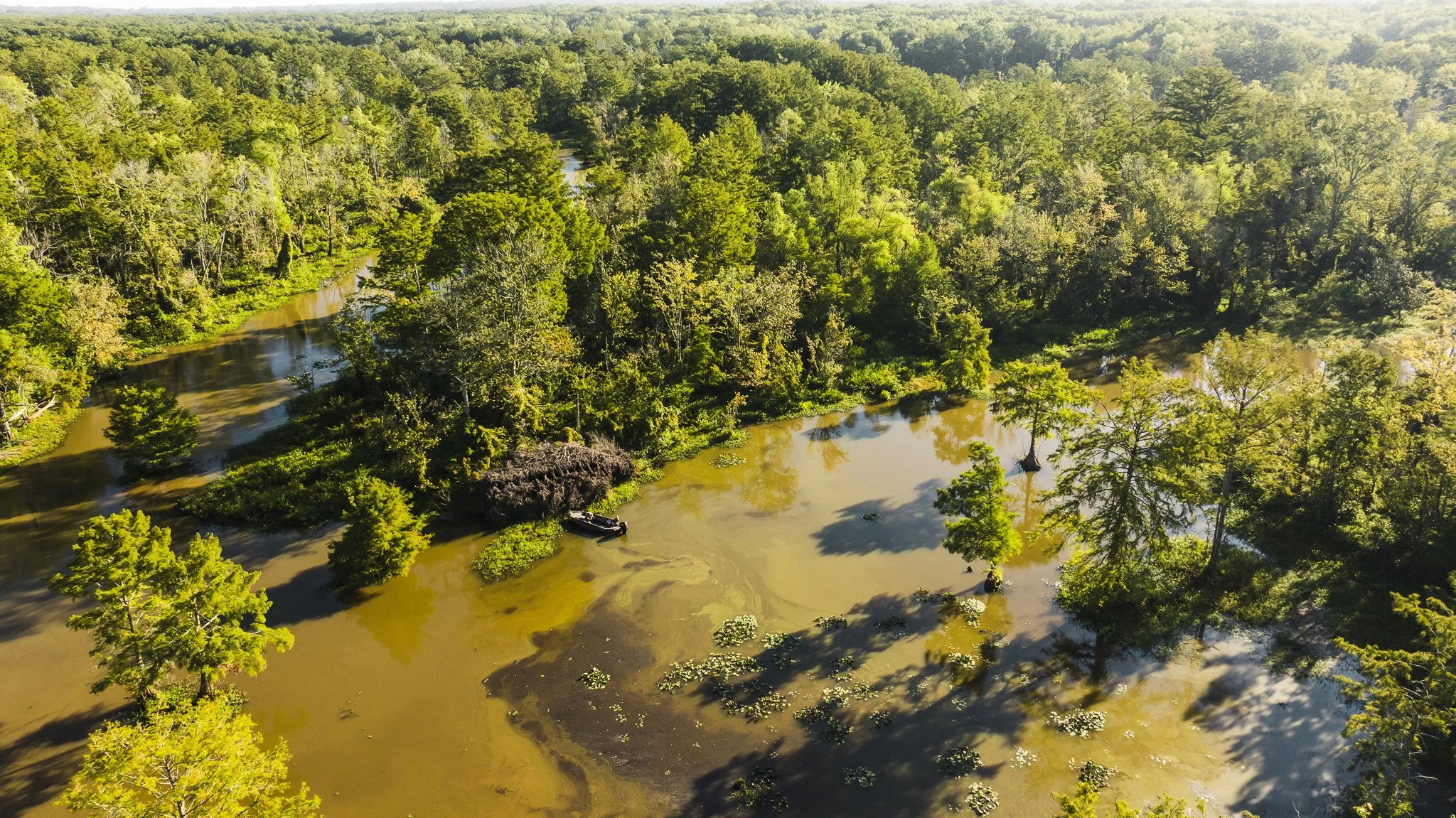 DJI_20250821081745_0010_D.jpg