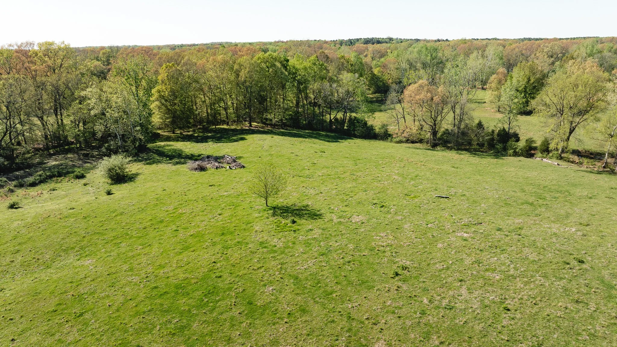 DJI_20260406162623_0049_D.jpg