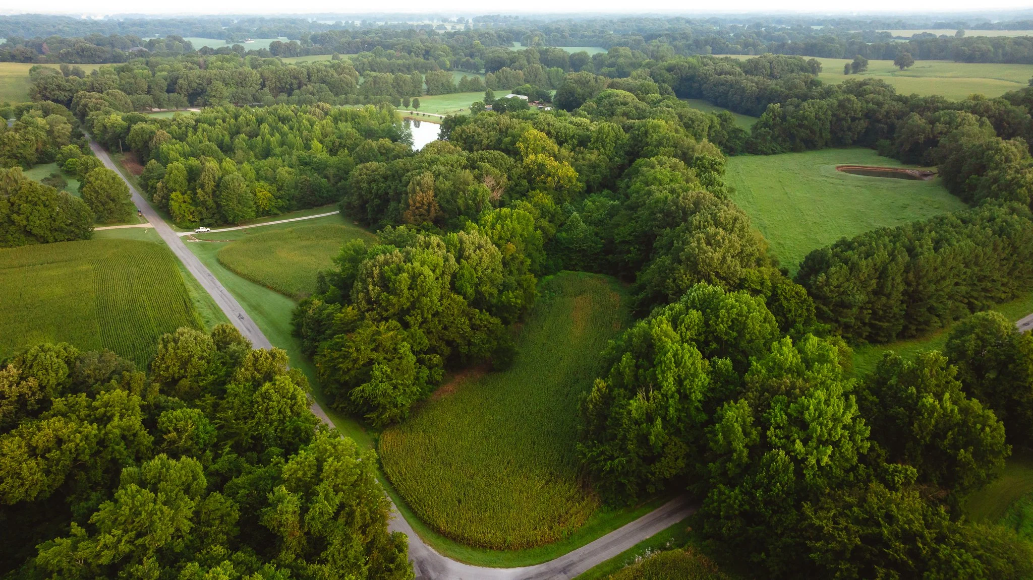 DJI_20260803141607_0038_D.jpg