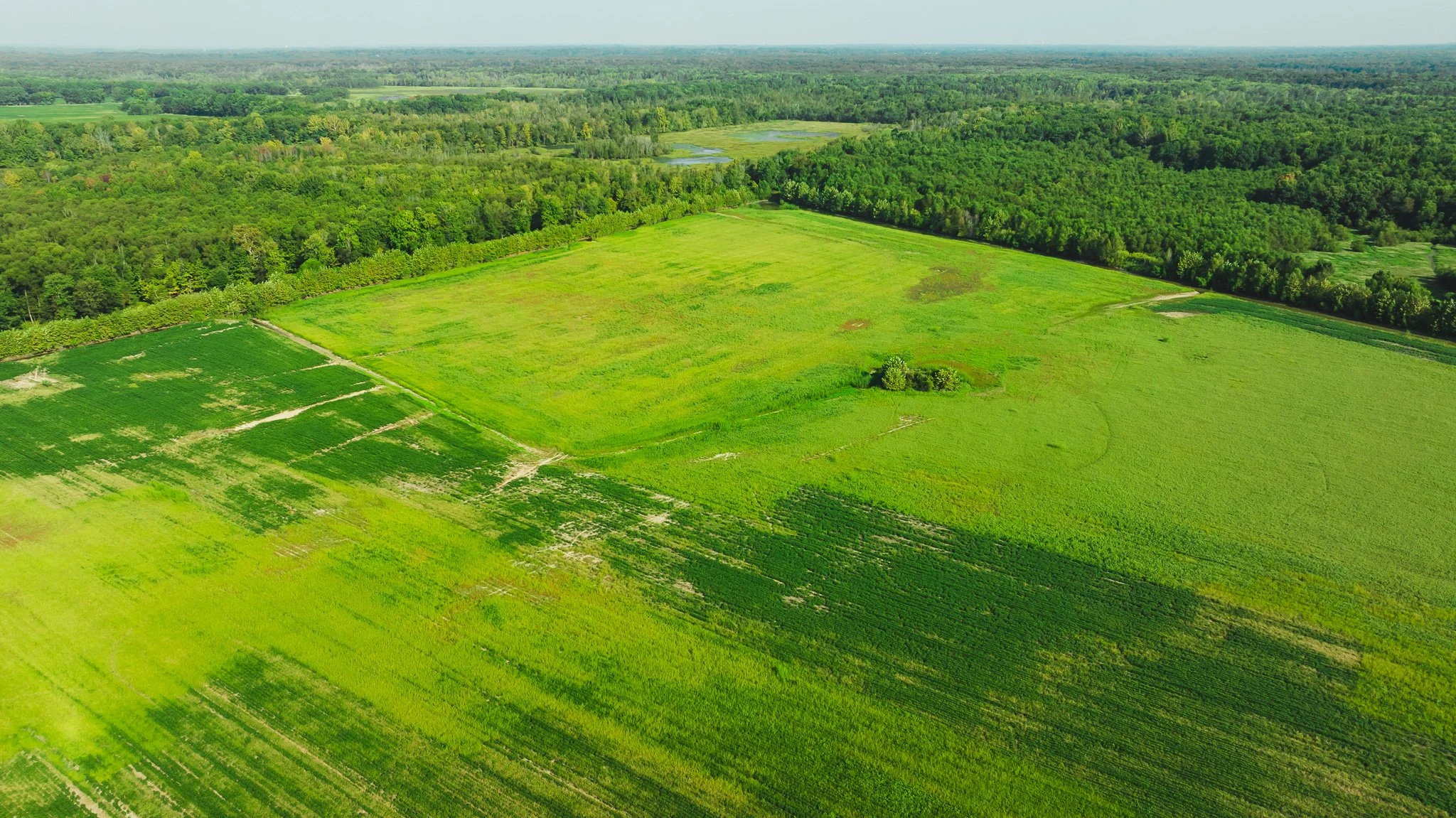 DJI_20250915092226_0019_D.jpg