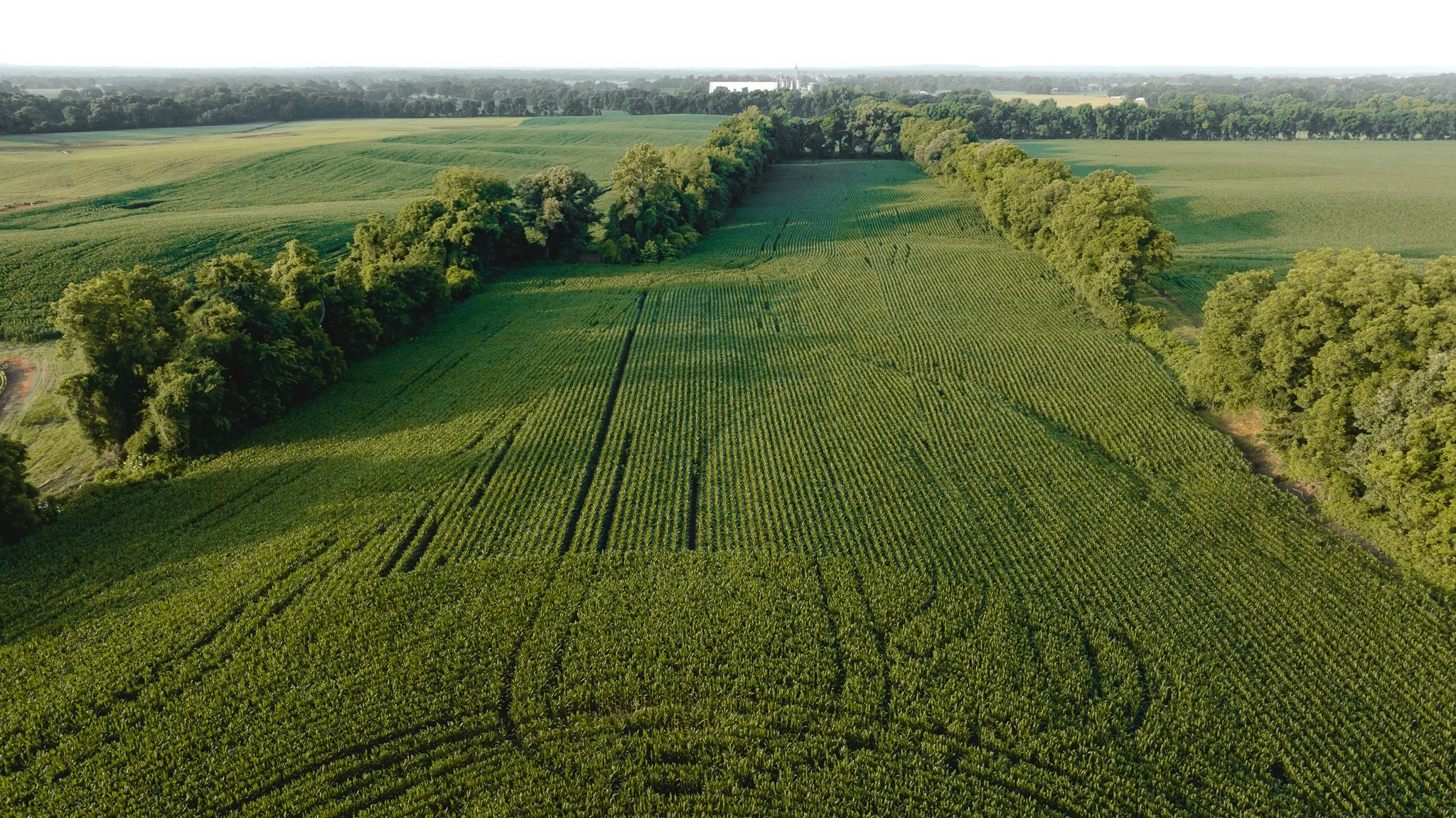 DJI_20260531140202_0074_D.jpg