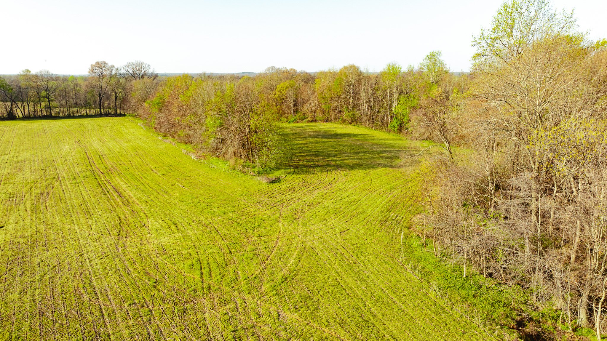 DJI_20260326085046_0029_D.jpg