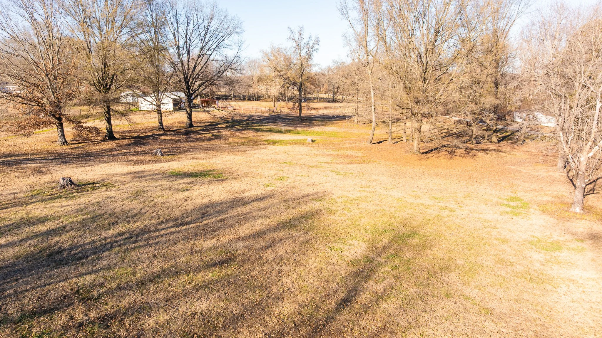 DJI_20251215142739_0012_D.jpg