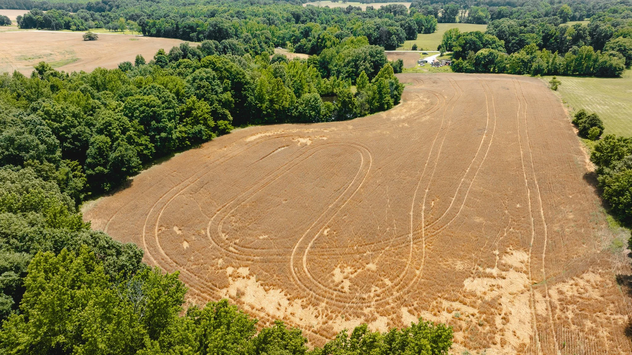 DJI_20260602204326_0022_D.jpg