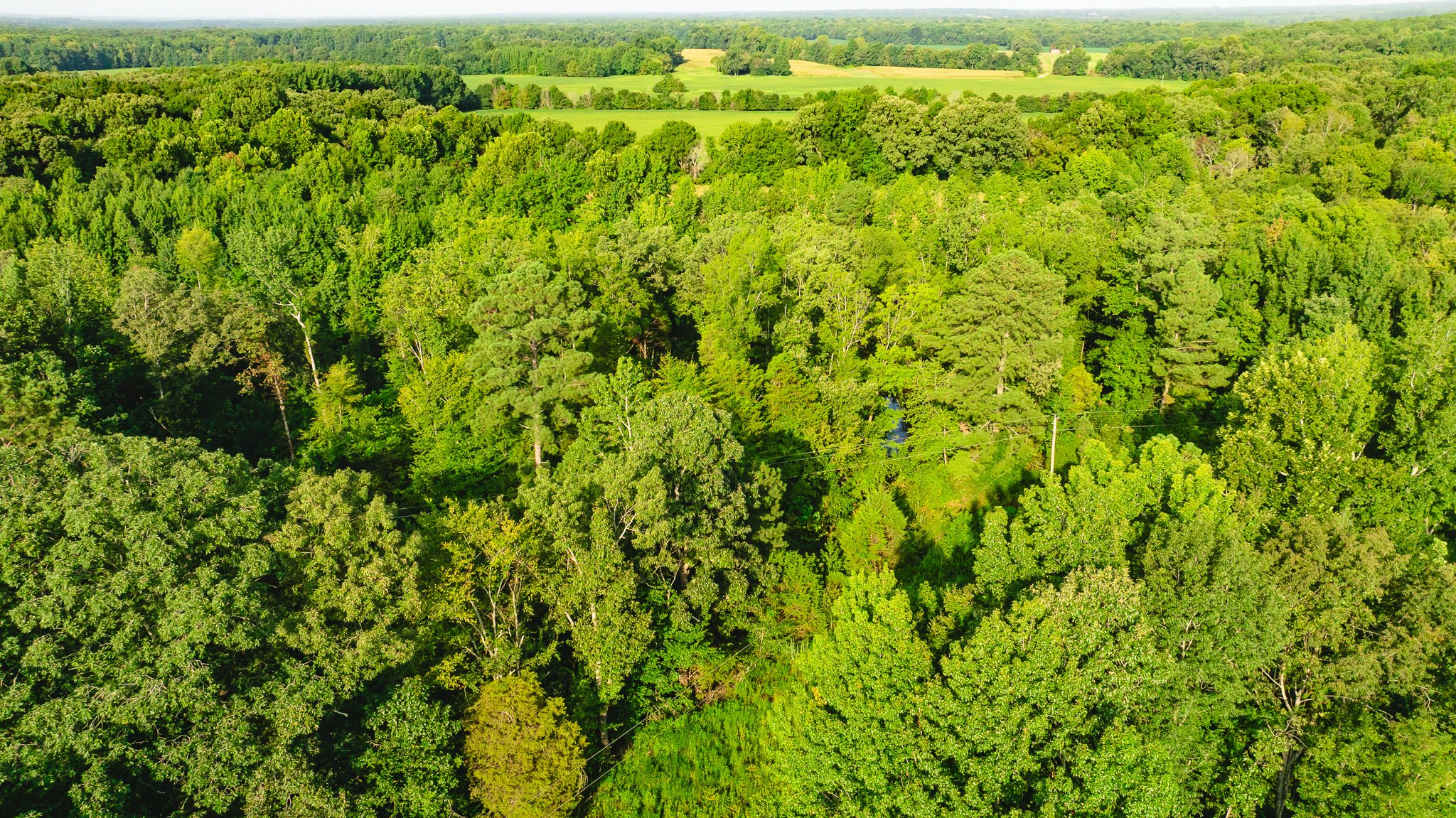 DJI_20260815154746_0040_D.jpg