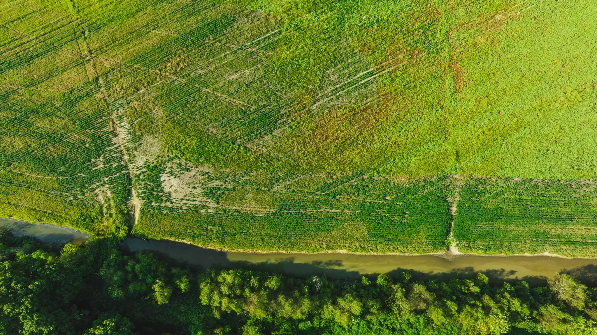 DJI_20250915091853_0012_D.jpg