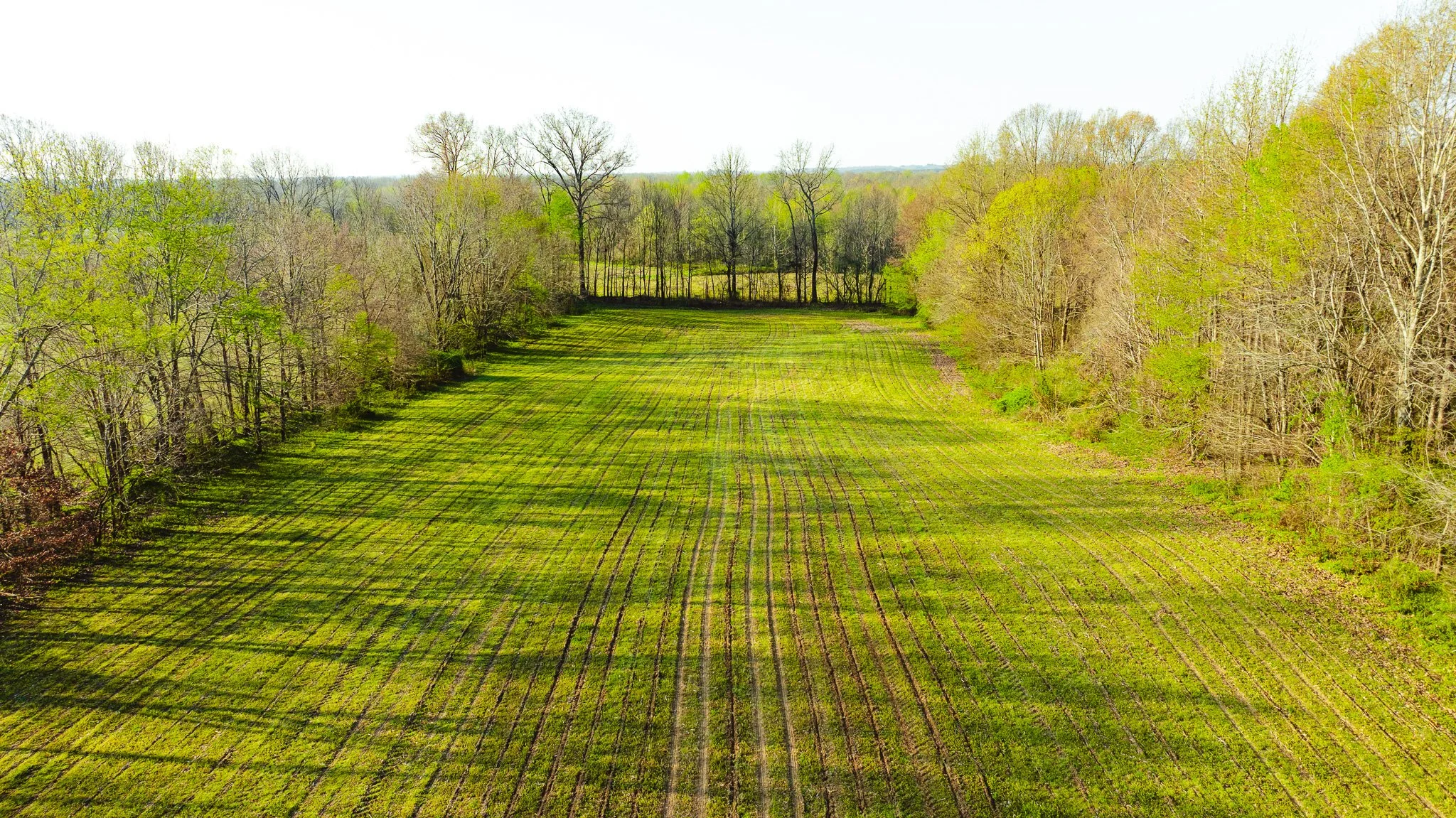 DJI_20260326084243_0017_D.jpg