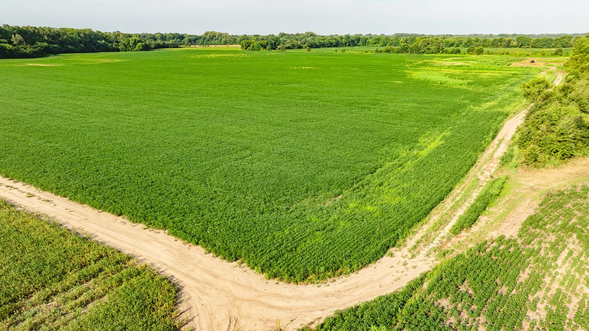 DJI_20260823160437_0015_D.jpg