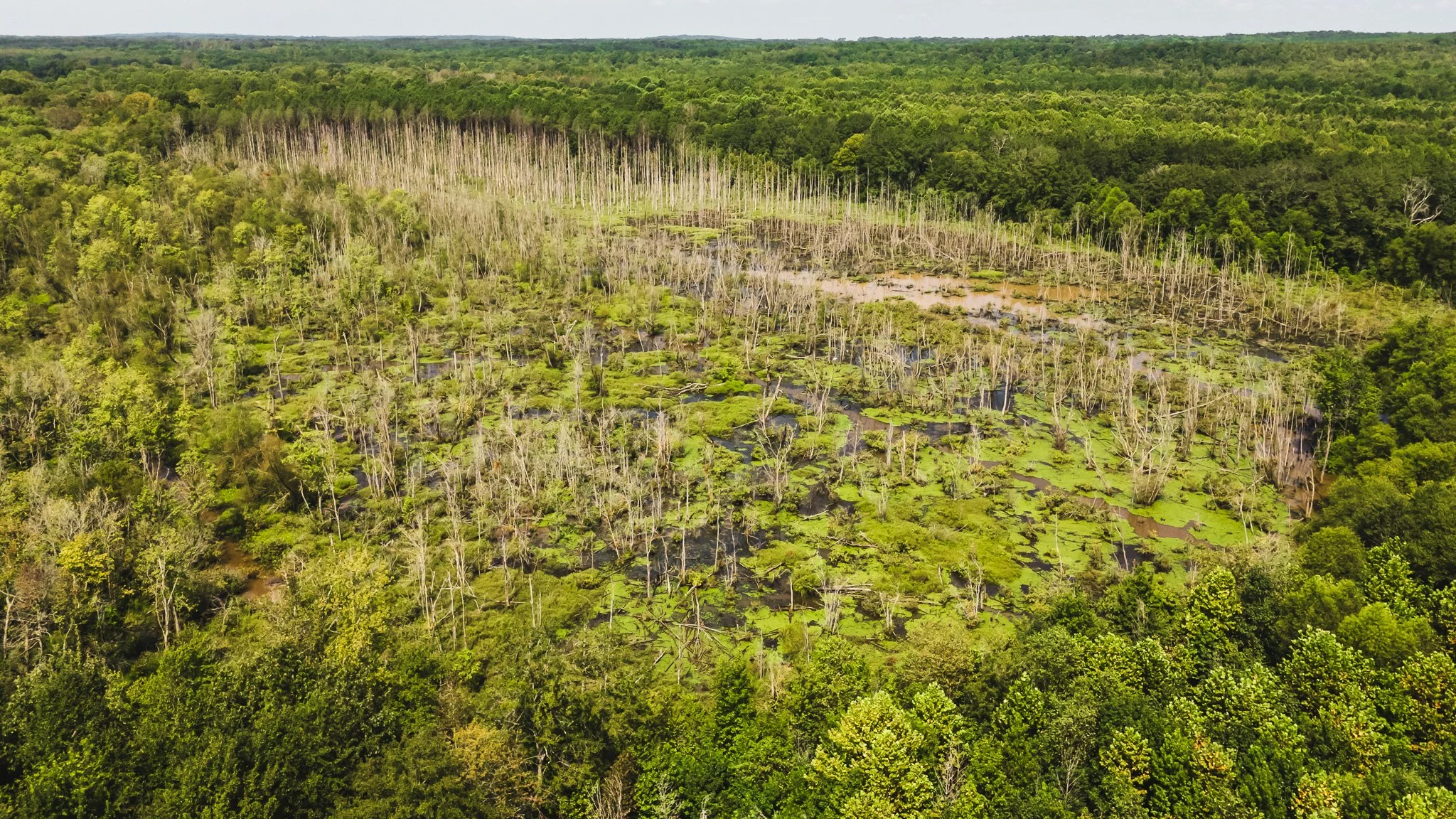 DJI_20250814101819_0008_D.jpg