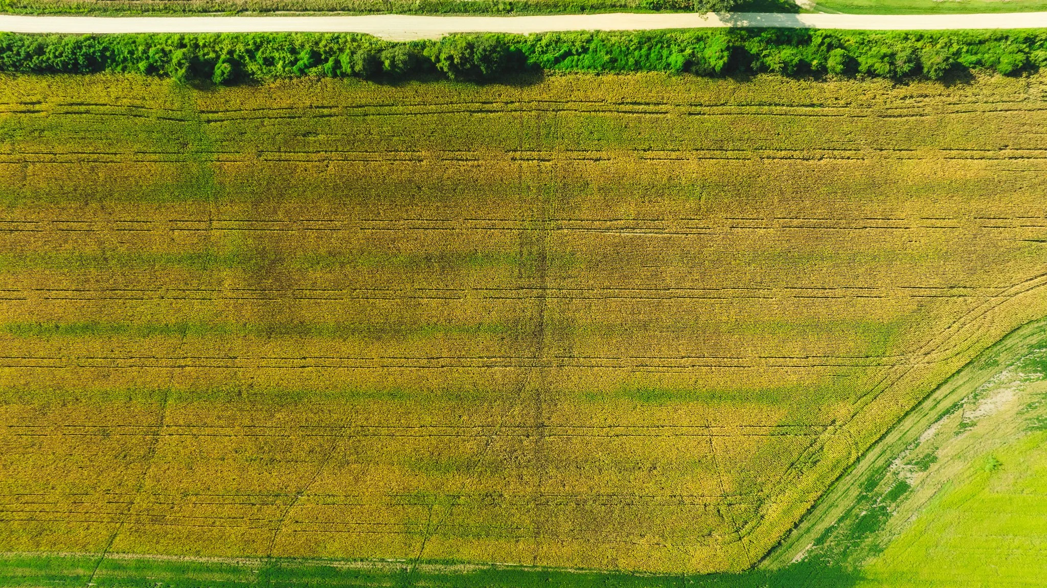 DJI_20250915092741_0029_D.jpg