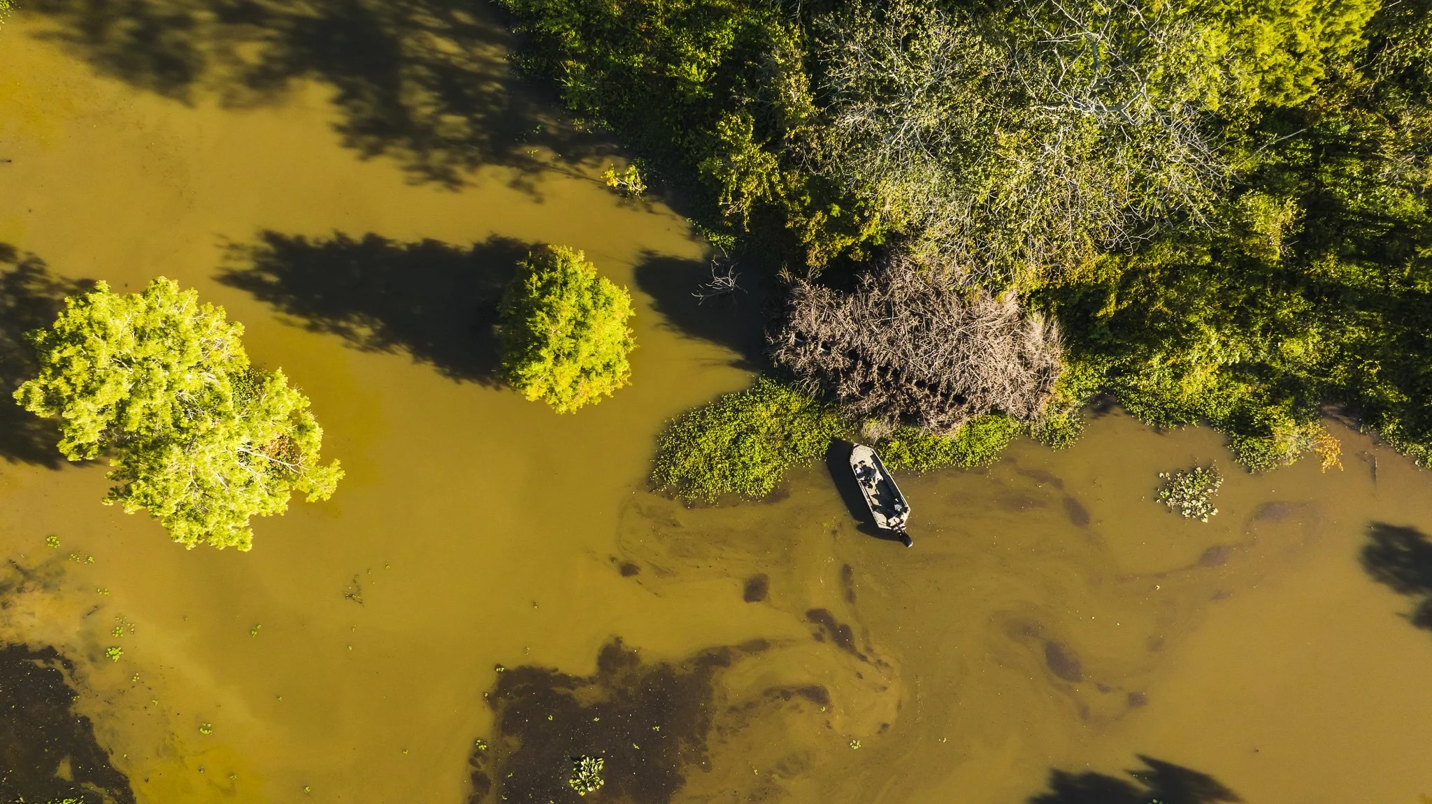 DJI_20250821081808_0011_D.jpg