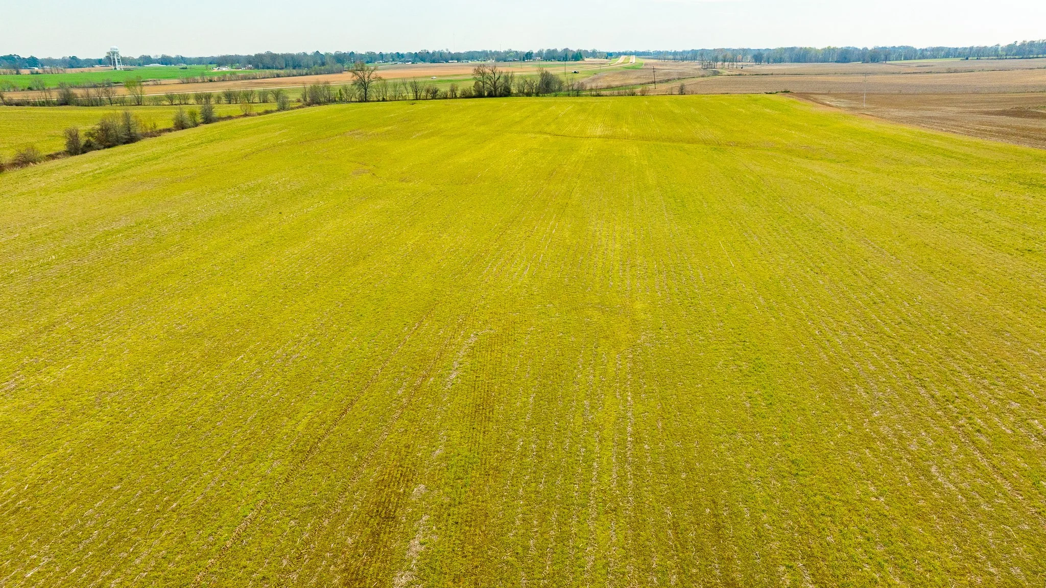 DJI_20260319152006_0024_D.jpg