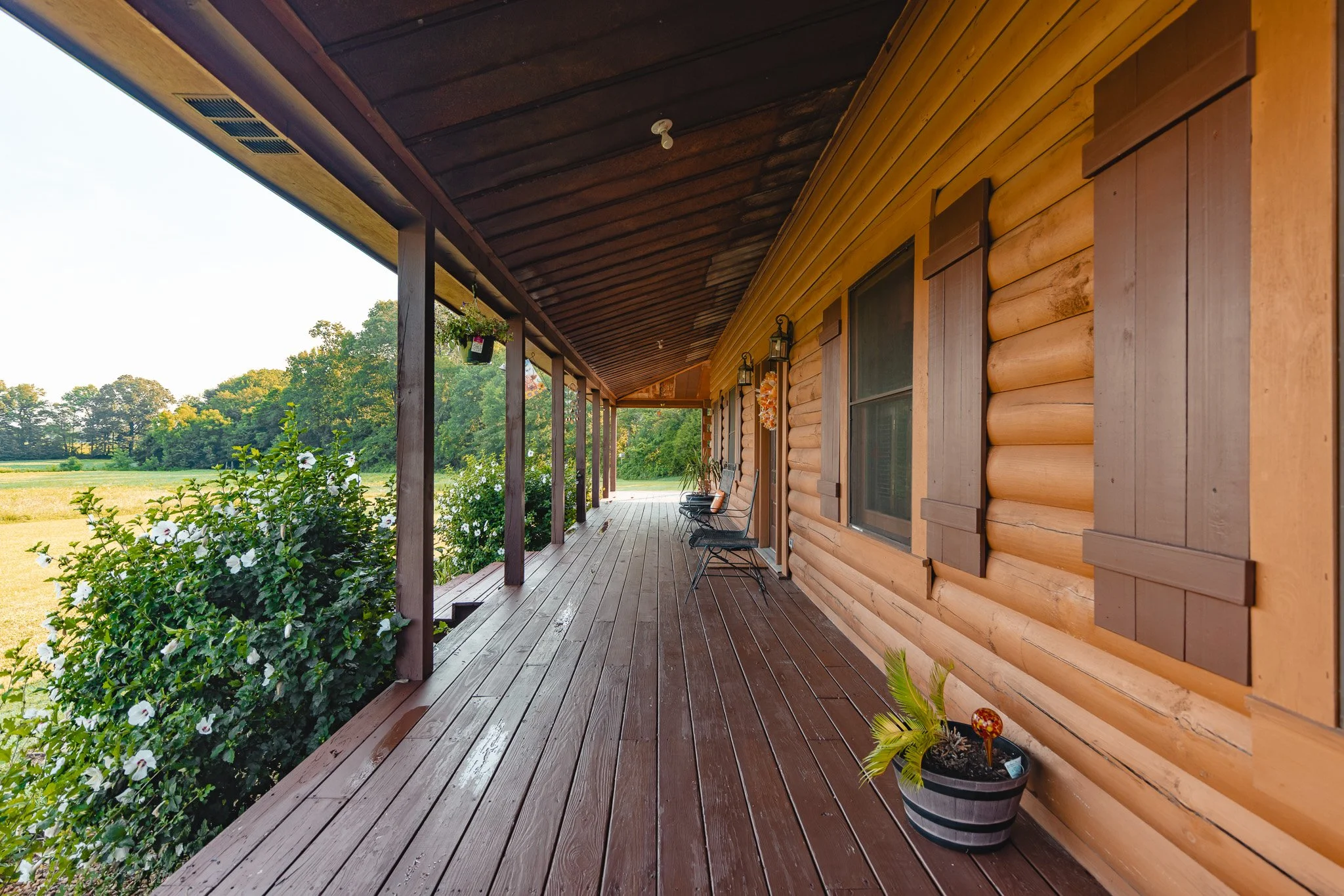 FT8A0782.jpg