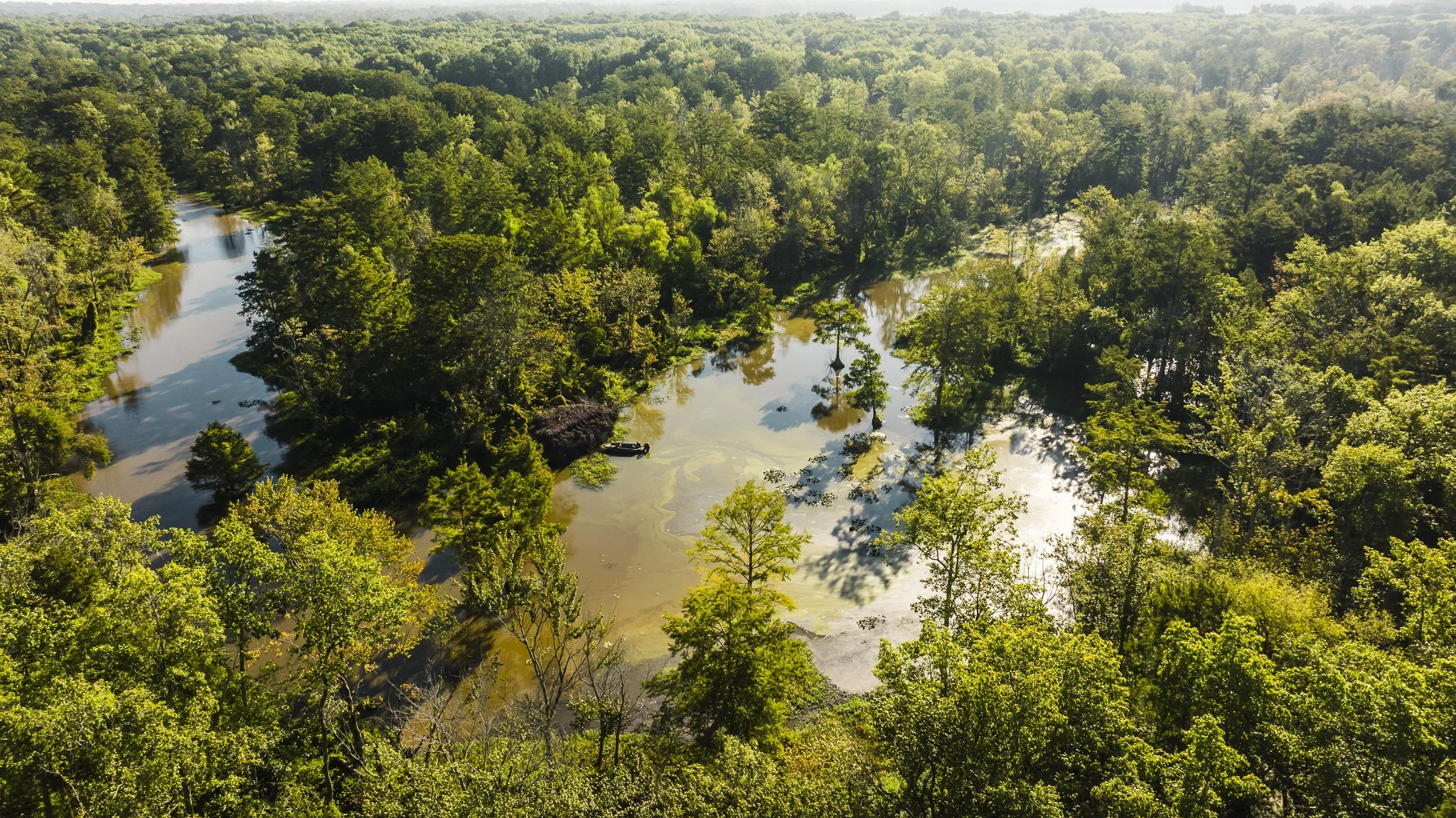 DJI_20250821081731_0009_D.jpg